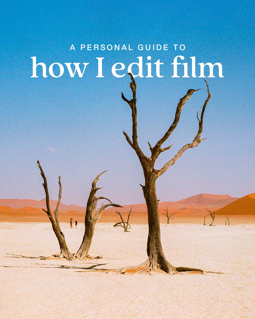 Edit Film Website.jpg