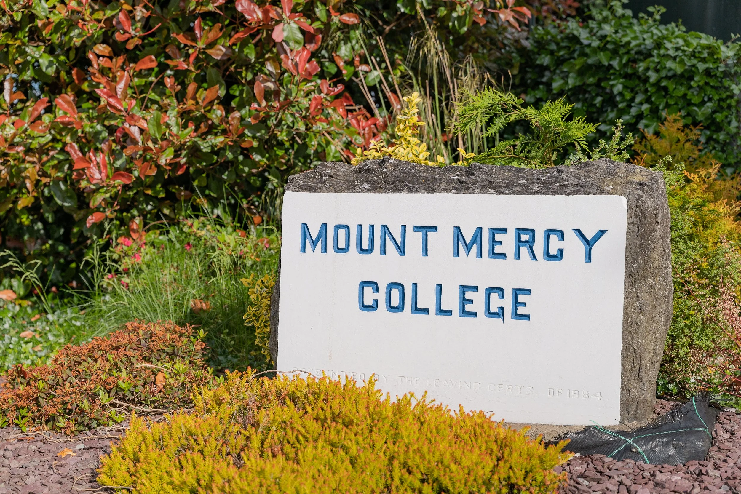About Mount Mercy — Mount Mercy College