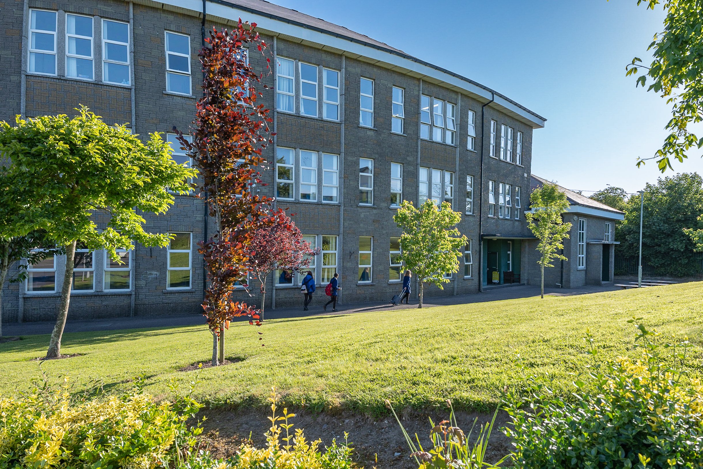 Transition Year — Mount Mercy College