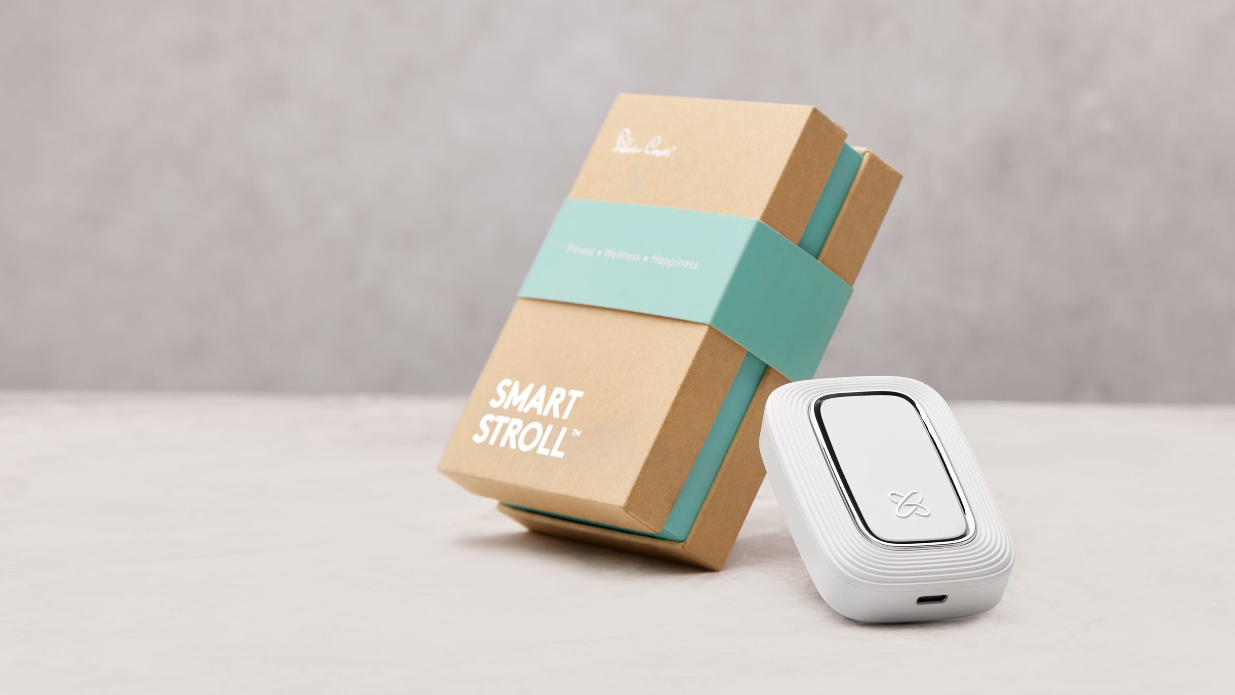 page-smartstroll-1.jpg