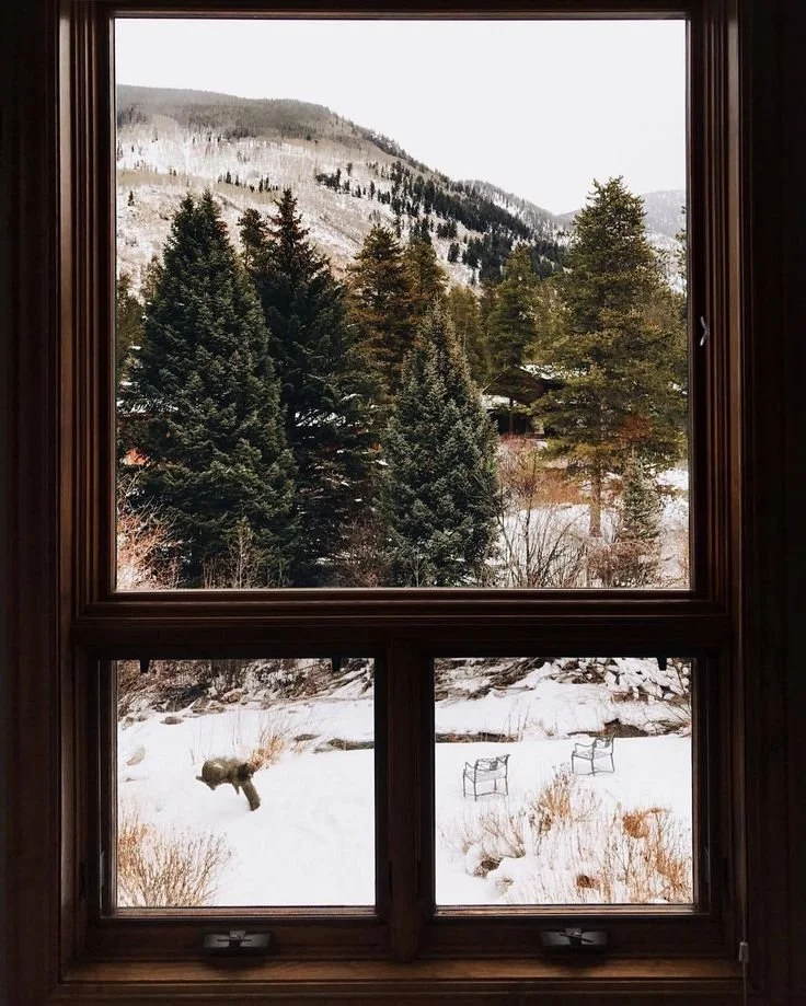 Embracing Our Inner Winter: Nourishment, Movement, and Inner Season ...