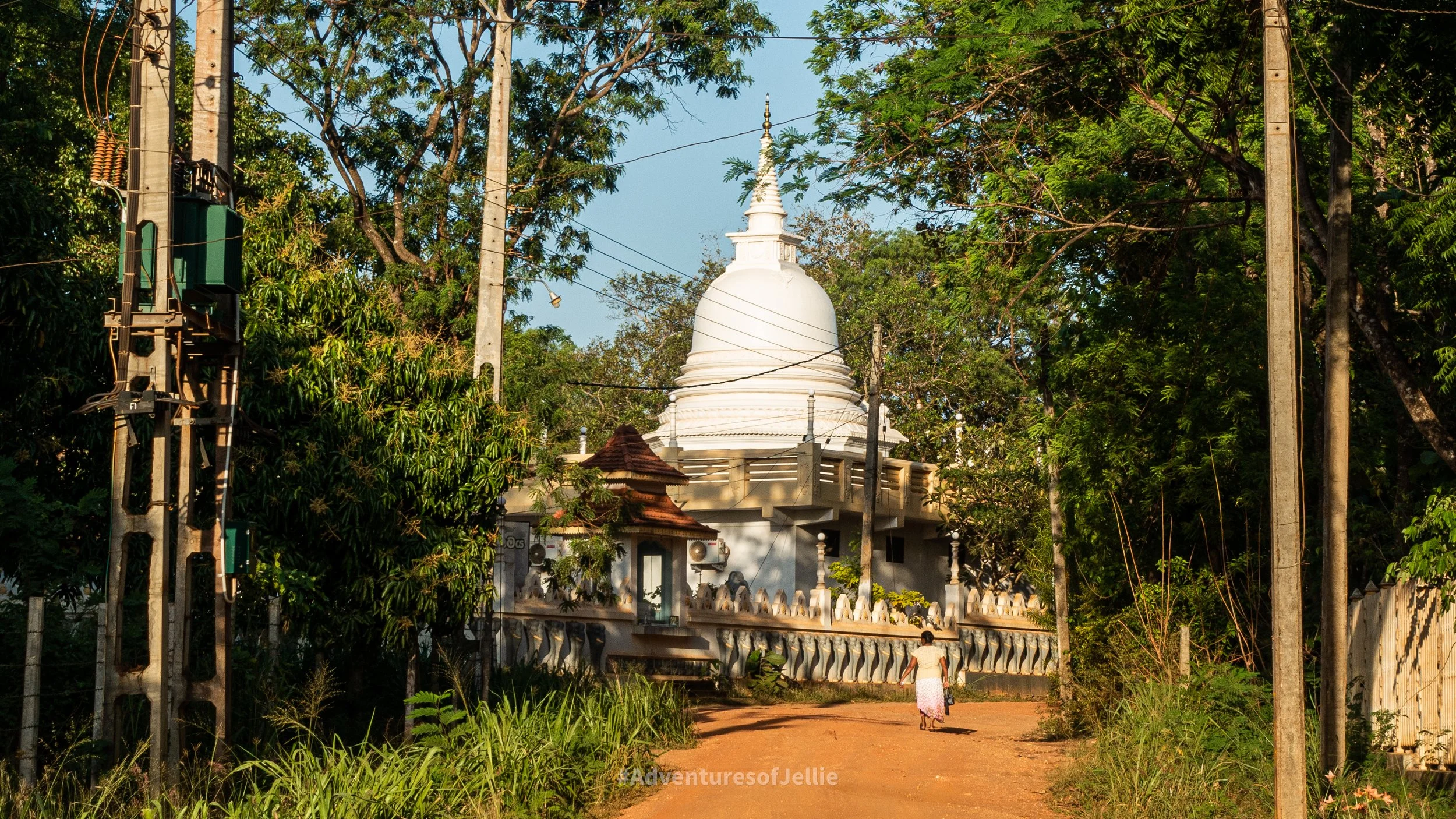 A Sri Lankan lady walks up a dusty road towards a white domed stupa of a temple in the middle of Habarana.