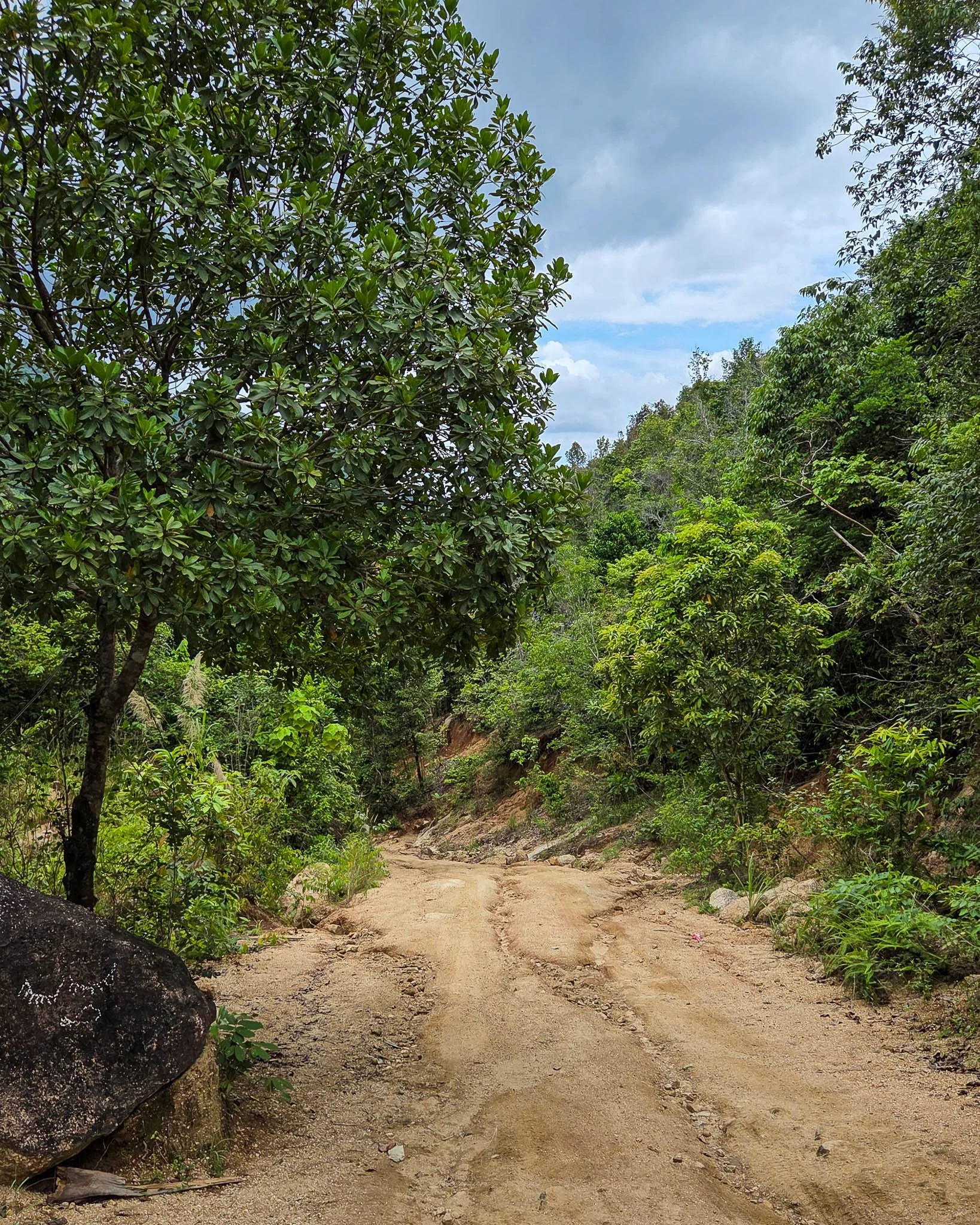 A gravel and sandy road leads steeply down through jungle towards Bottle Beach on Koh Phangan.