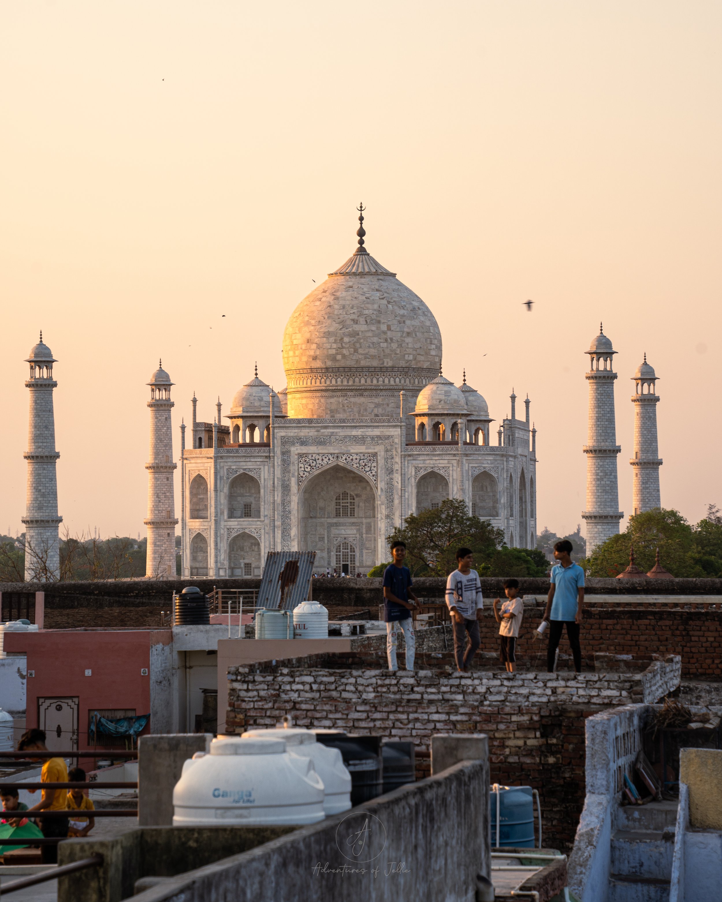 The Best Sunset View of the Taj Mahal - Joey's Hostel Agra