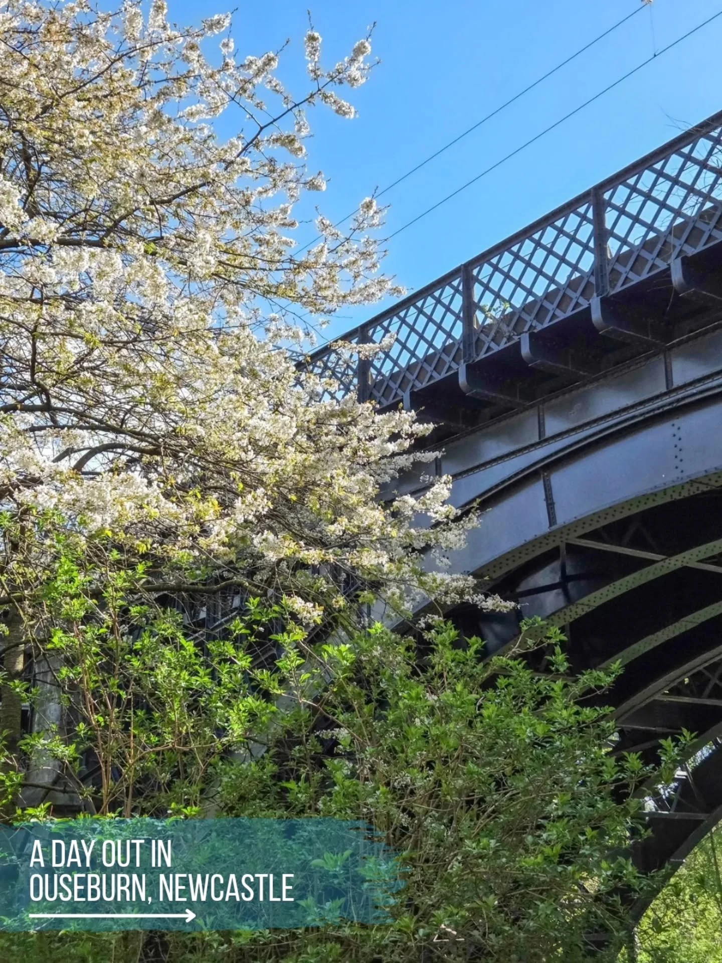 A short walk, or an even quicker bus ride away from the centre of Newcastle and you'll find yourself in the arty neighbourhood of Ouseburn. 

We spent a full day wandering the streets and canals, here's just some of what we got up to!

🍳 enjoyed a d
