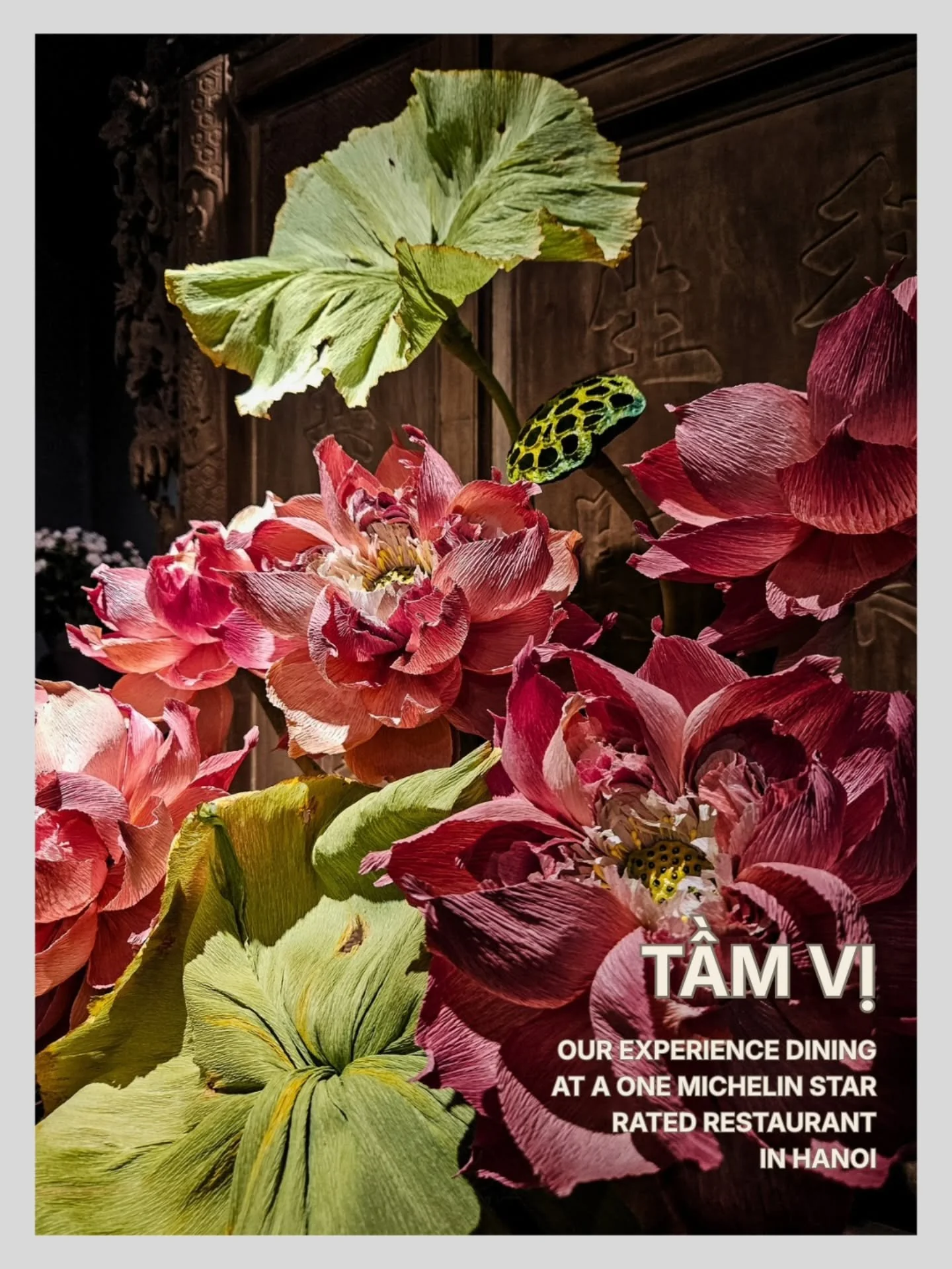 In a city full of world famous, utterly delicious street food recommended by the Bib Gourmand, what does it take to rise above and gain that full star? 

Tầm Vị has repeatedly won a Michelin star for its amazing food. It&rsquo;s a beautiful restauran