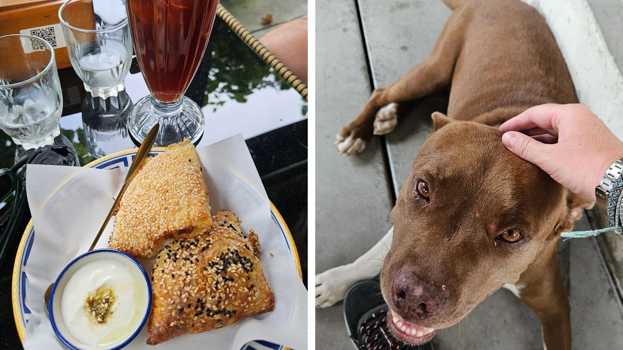 A two photo collage with images from the Malka Cafe on Koh Phangan. The first image features a plate filled with burekas and an iced americano and the second image features a brown dog.