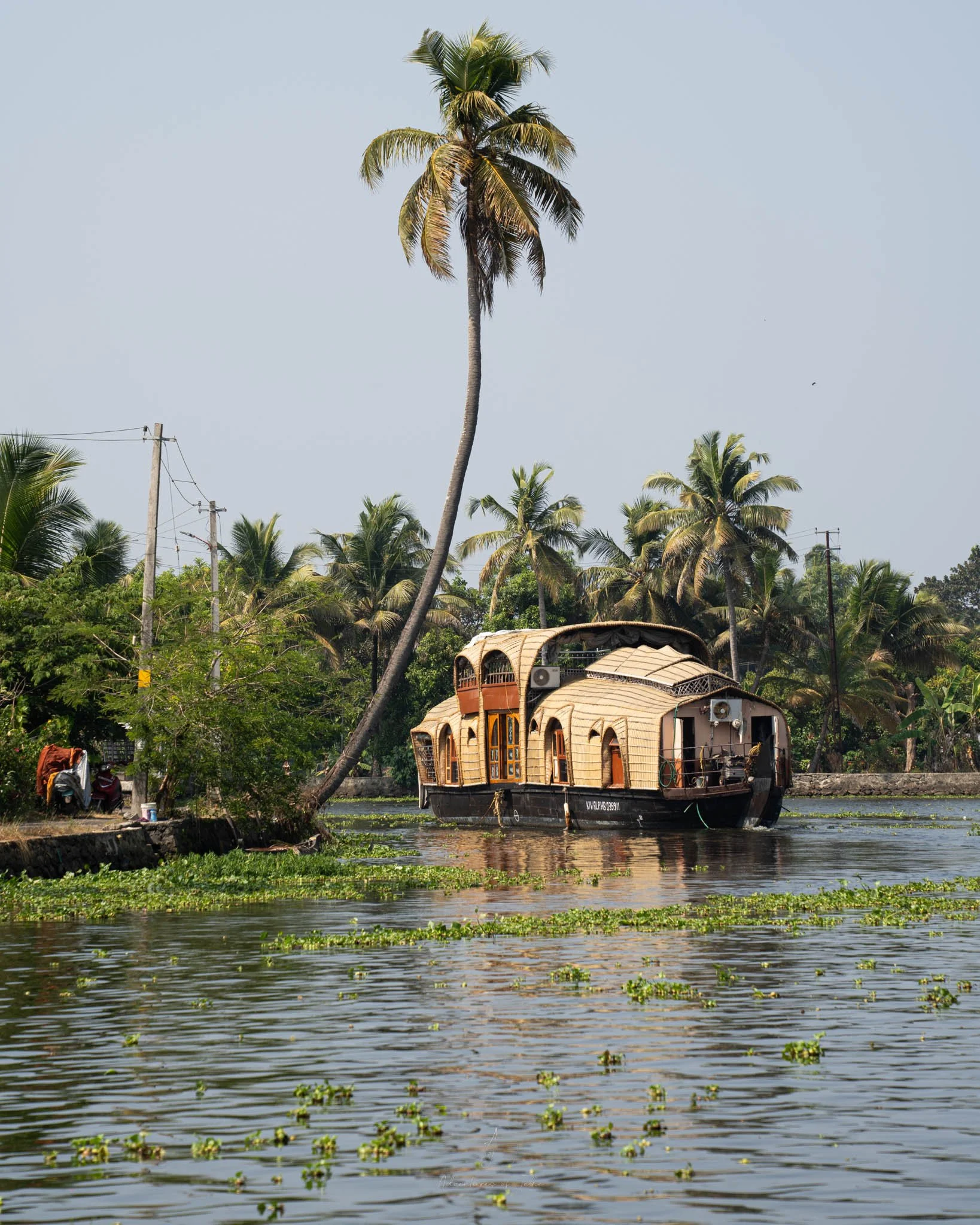 A guide to Alleppey, the backwaters of Kerala - boats, houseboats and ...