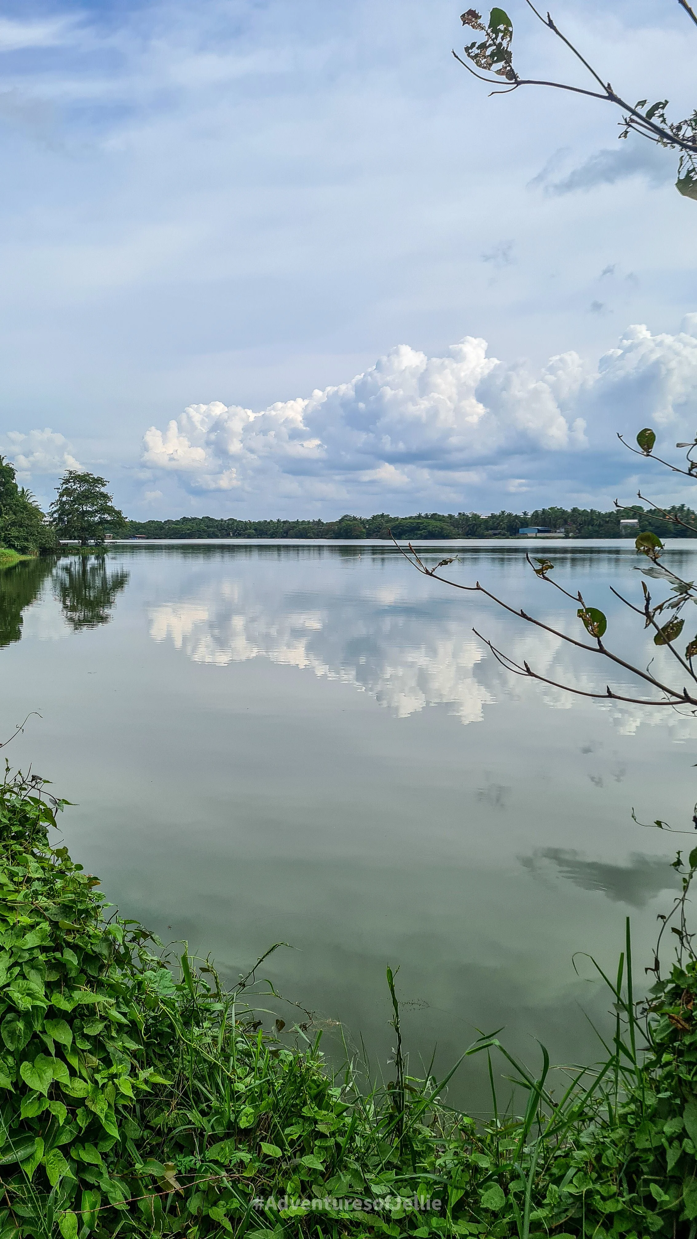 A view of the Anuradhapura's lake in Sri Lanka.