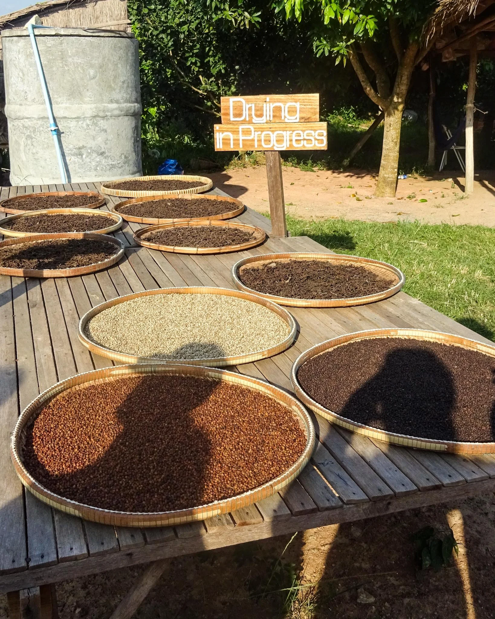 Red, white and black peppercorns are left to dry in the Cambodian sun on a pepper farm in Kampot.