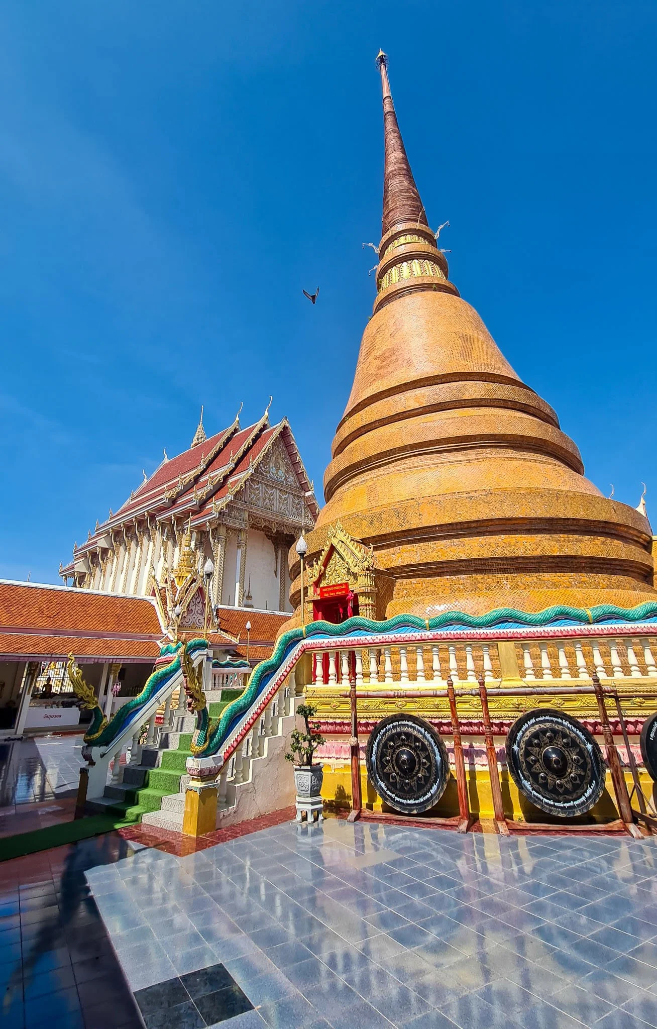 A pigeon flies away from the golden stupa of Wat That Phra Aram Luang Temple in Khon Kaen.
