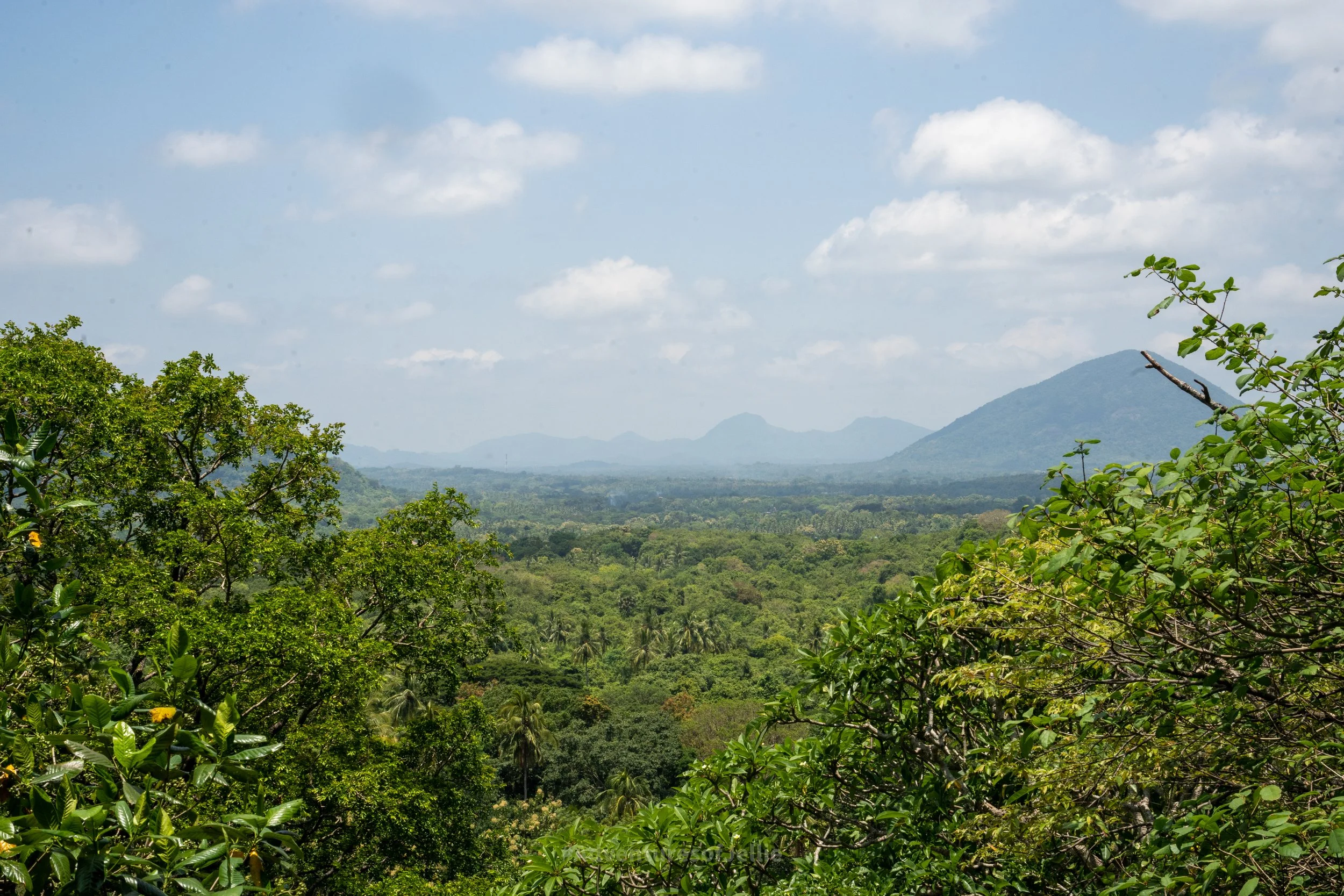 The view from the top of the Dambulla Royal Cave Temple