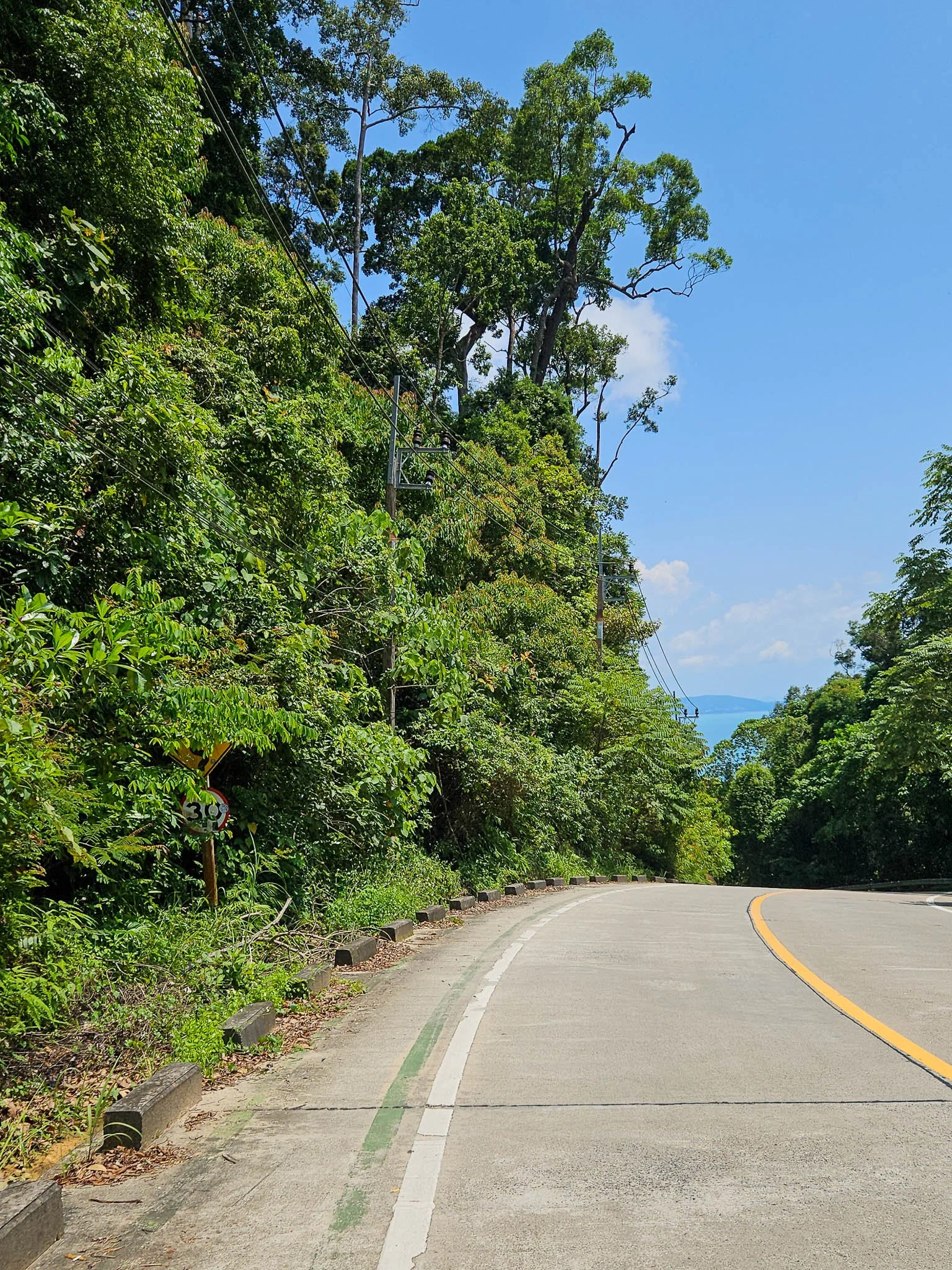 A steep road disappears down through jungle on the island of Koh Phangan.