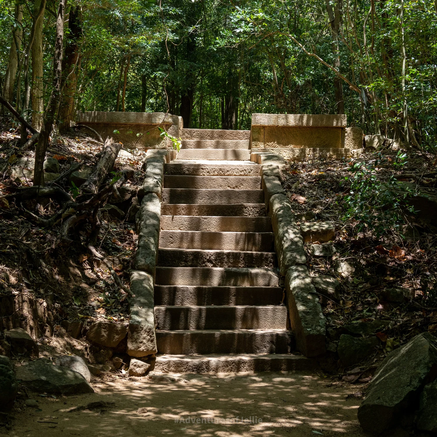 Ritigala Ridges Ritigala - Sri Lanka's Hidden Monastic Ruins — Adventures of Jellie