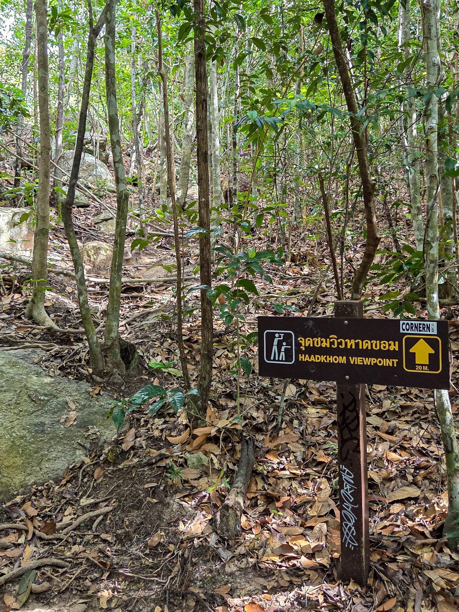A wooden sign with an arrow and the words "Haadkhom Viewpoint" are written in yellow. Behind the sign, a path leads up through a forest on Koh Phangan.