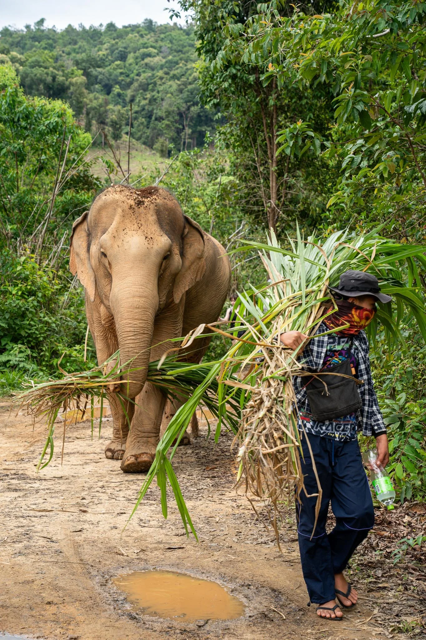 chang-chill-thailand-s-best-ethical-elephant-sanctuary-adventures