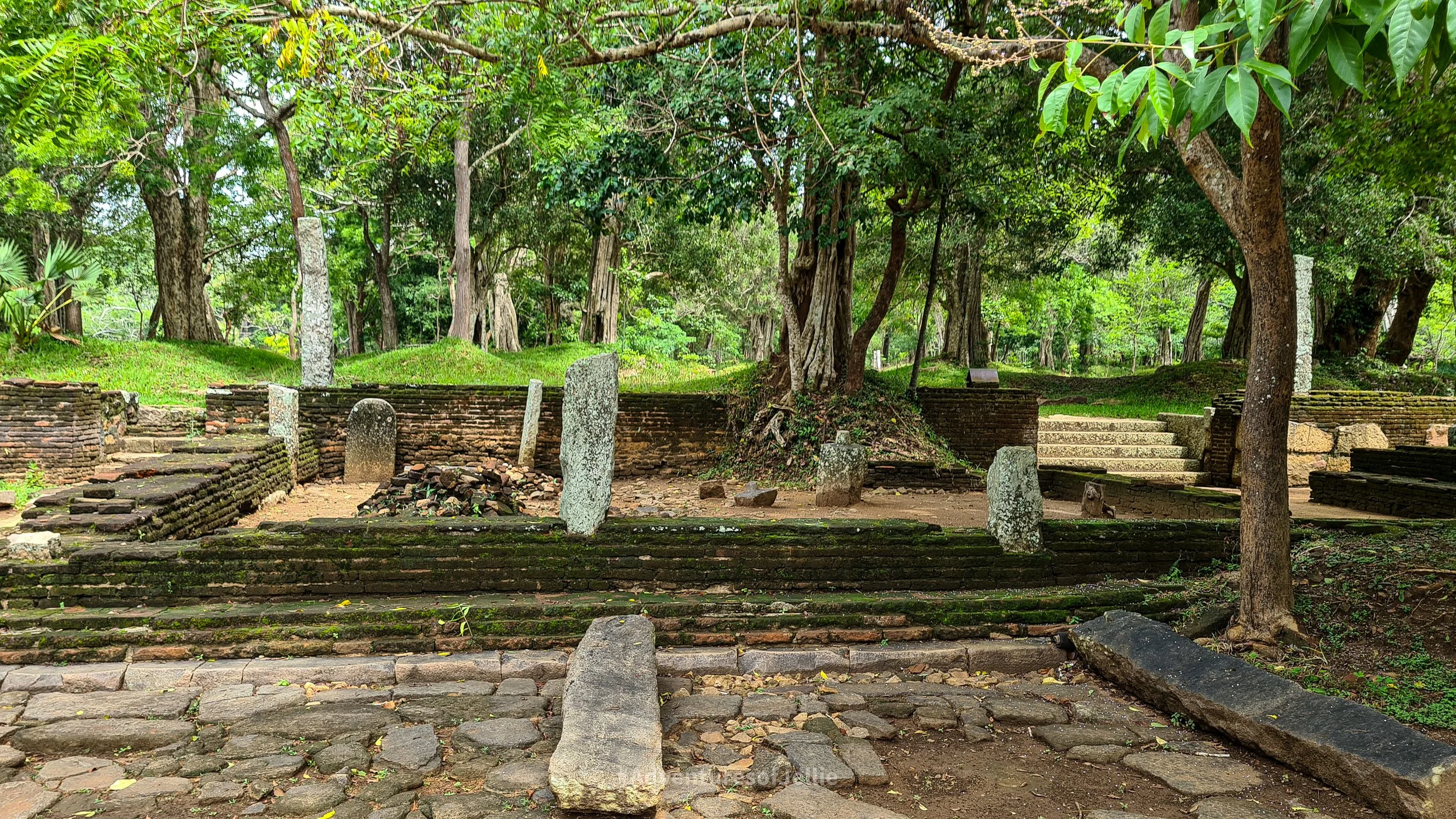 Moss covered ruins with trees growing through in the ancient city of Anuradhapura, Sri Lanka.