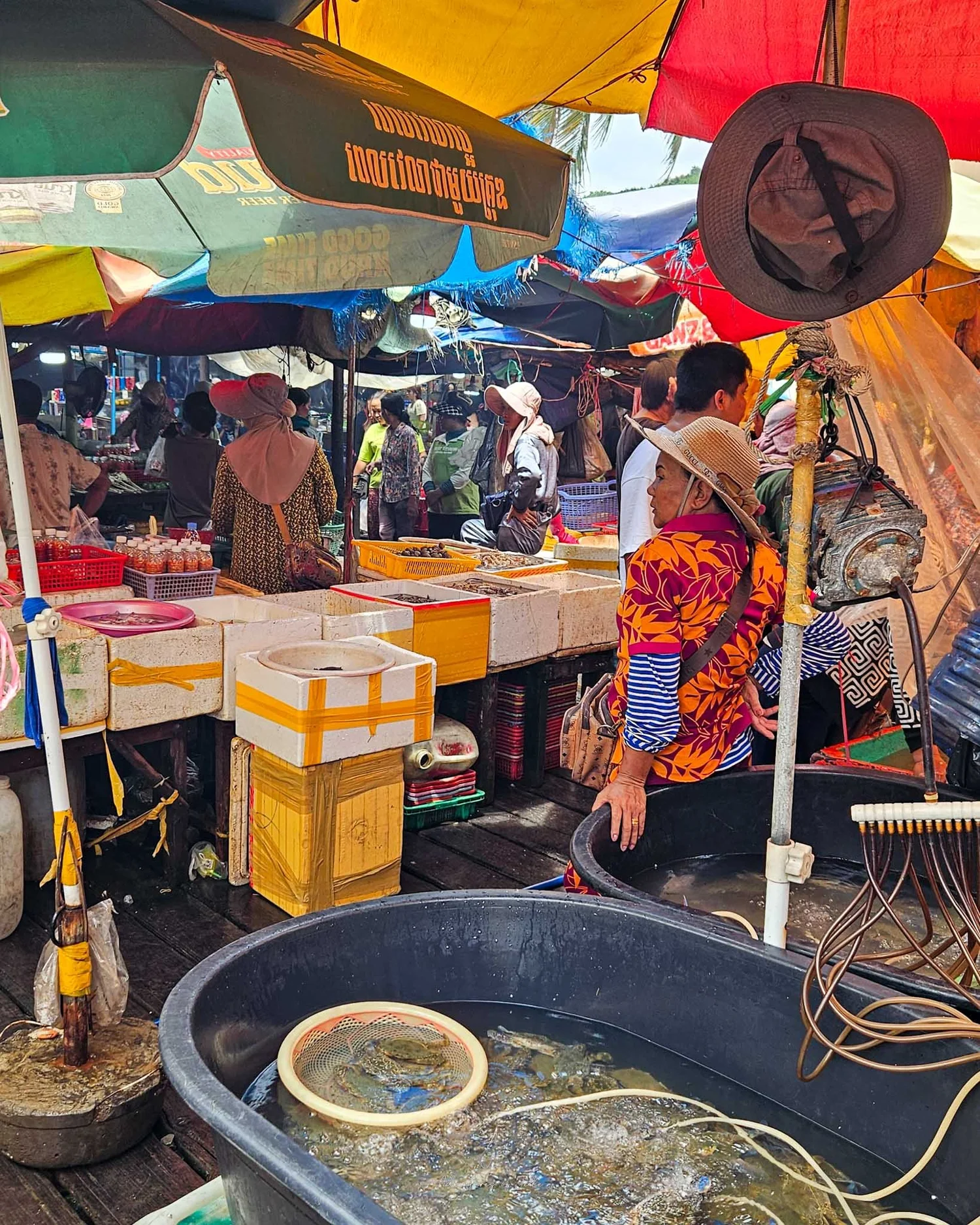 Kep, the Complete Guide - Kep Beach, the National Park and Kep Crab ...