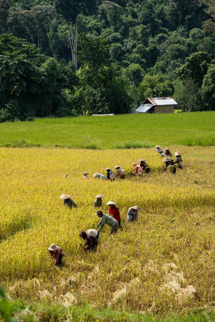 Tad Mok Waterfall - A Hidden Gem in Northern Laos — Adventures of Jellie
