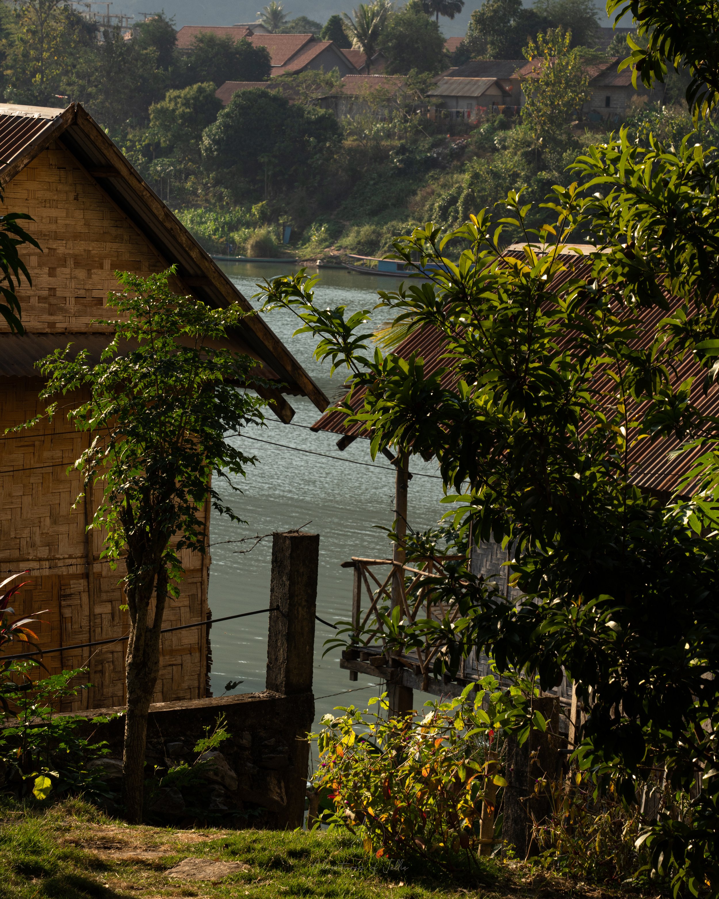 The pretty tree-filled garden of the Meexai Guesthouse leads down to the Nam Ou River in Nong Khiaw, Laos. Small bamboo bungalows line the riverfront.l