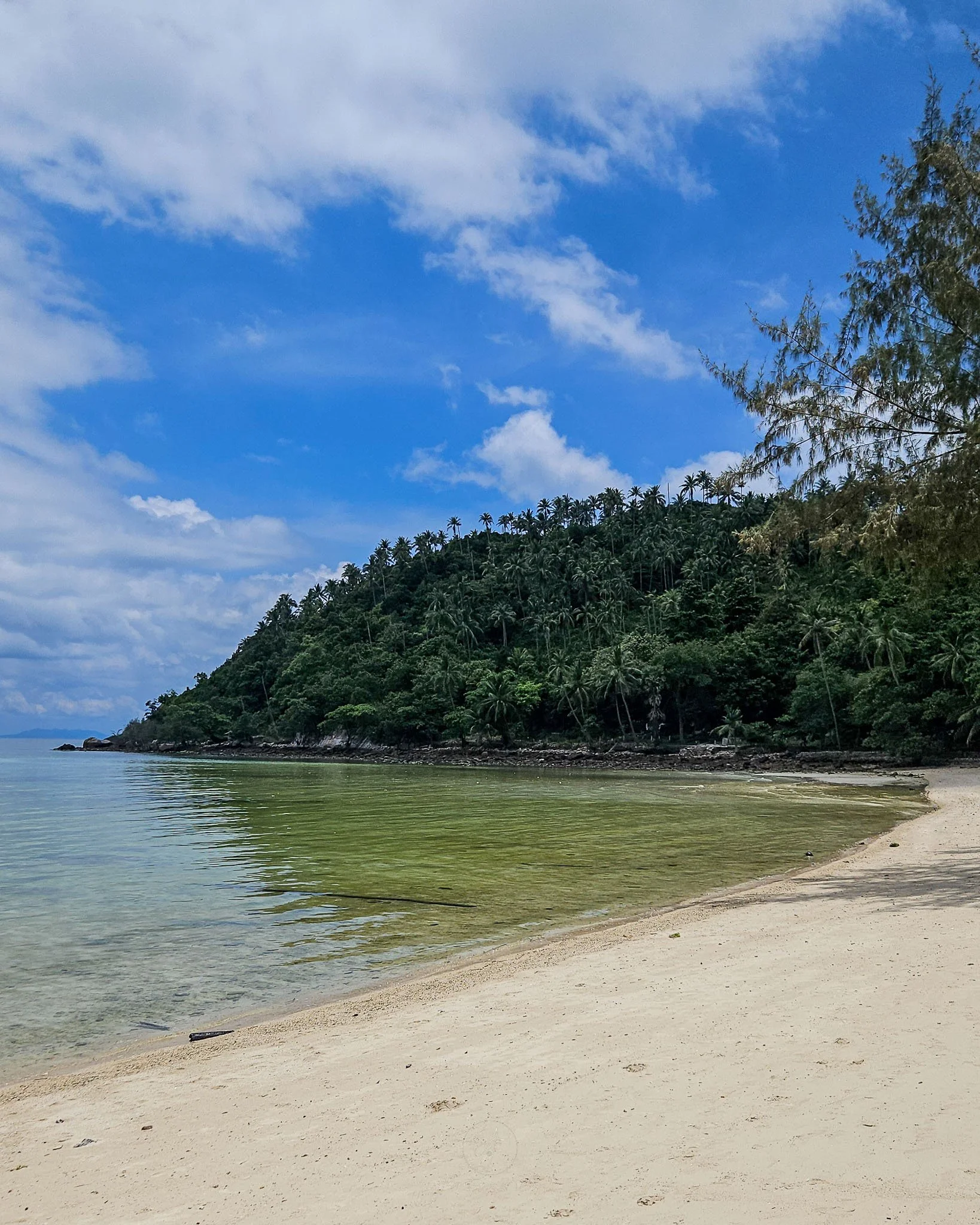 A palm filled pennisula curves away from the viewer. In front, the golden sands of Salad Beach stretch away.