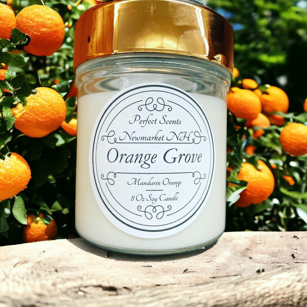 orange grove.jpeg