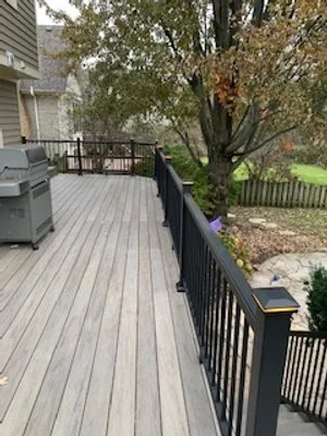 black metal rails.jpeg