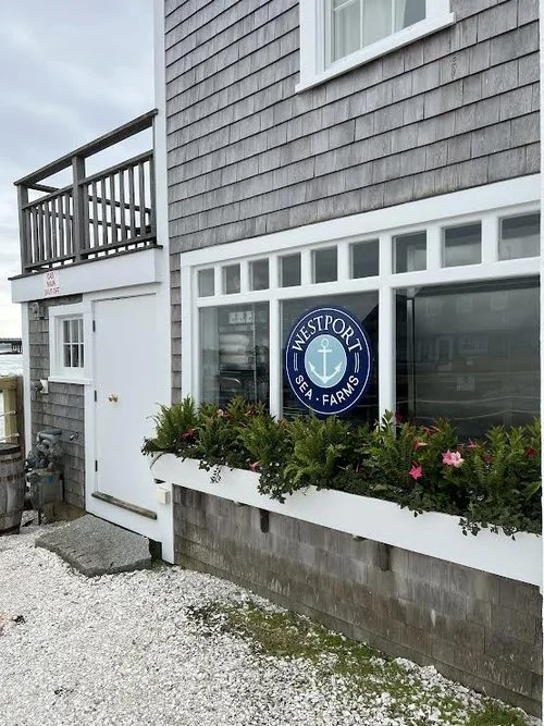 Storefront Decals installed for the Westport Sea Farms!!