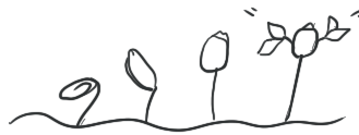 Simple line drawing of five small plants or seedlings growing in a row.