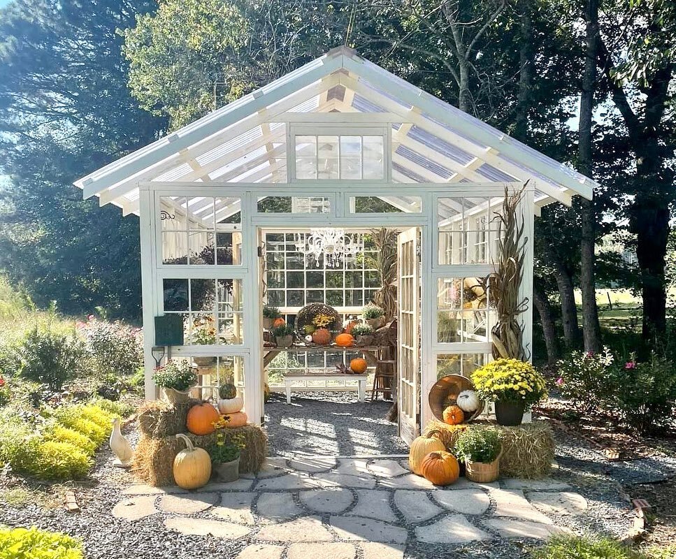 The greenhouse at @prospectfarms is gorgeous and I have spots for both Fall &amp; Christmas!  You can book your spot here - https://FALLMINIS.as.me/?appointmentType=category:Minis%20