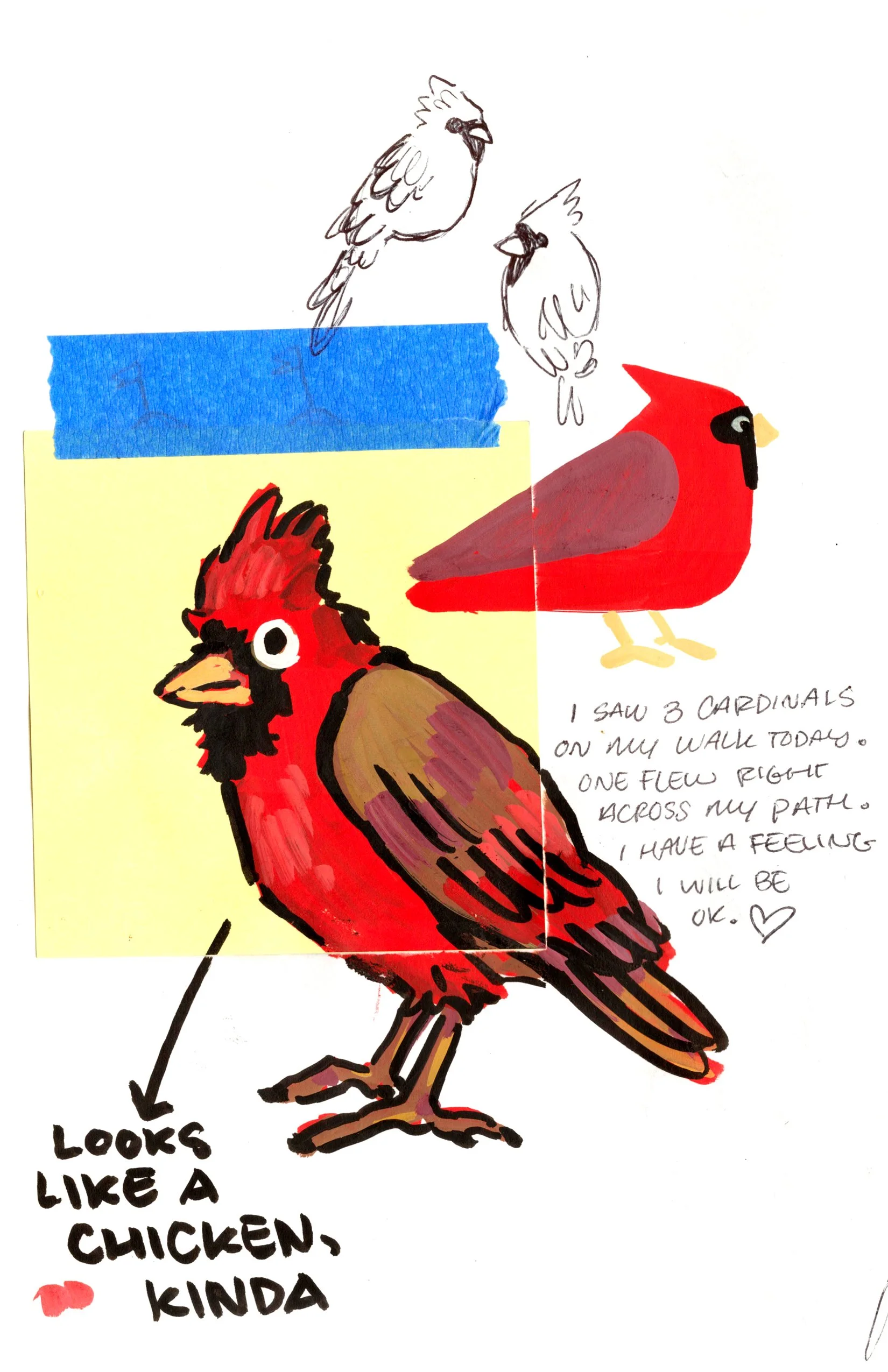 Inner back cover.jpg