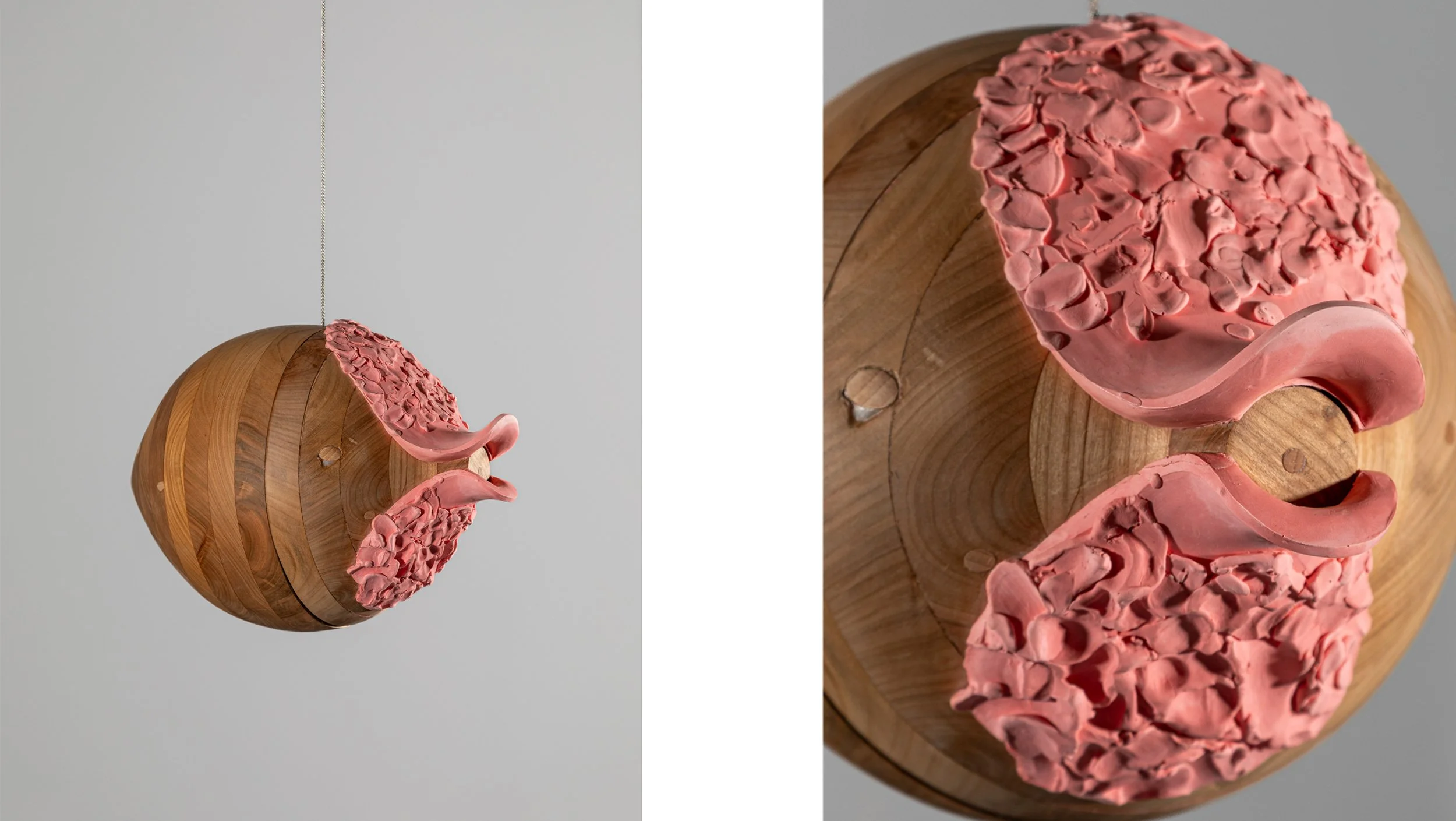 Anser Anser 3, 2025, wild cherry wood, liquid ceramics and pigment., 20 x 20 x 30