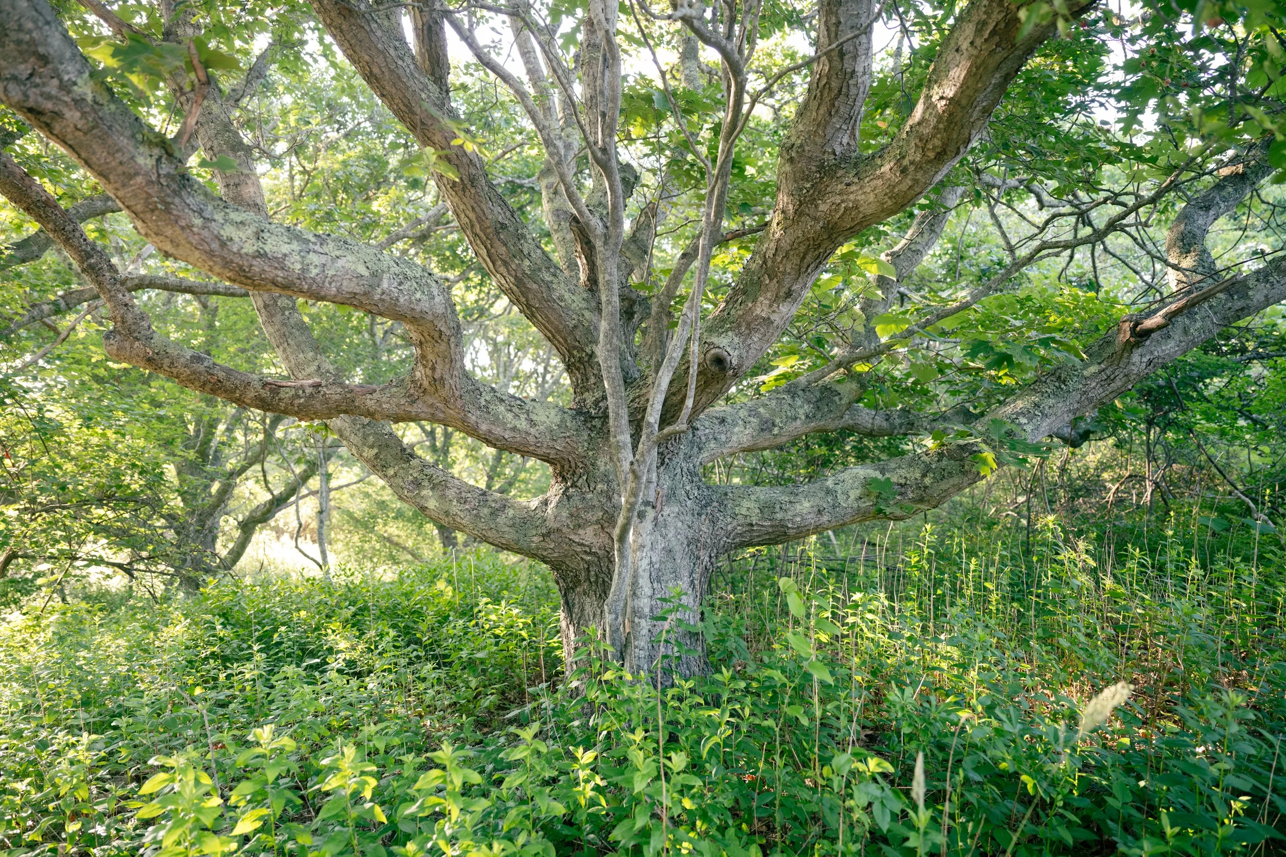 DSC_4892.jpg