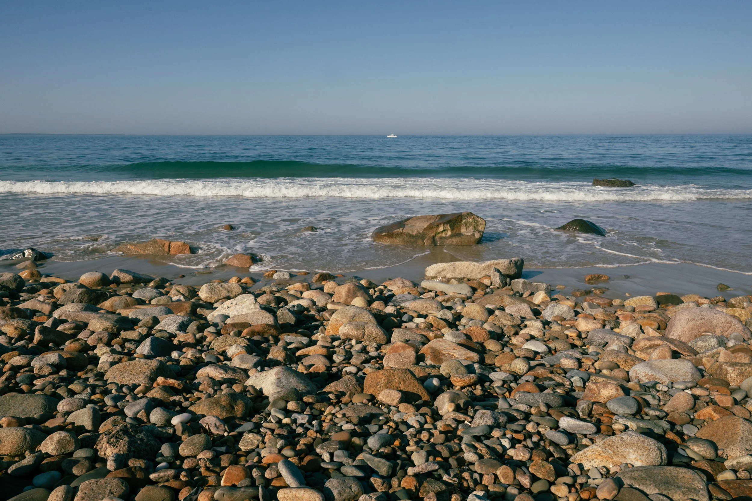 DSC_5164.jpg