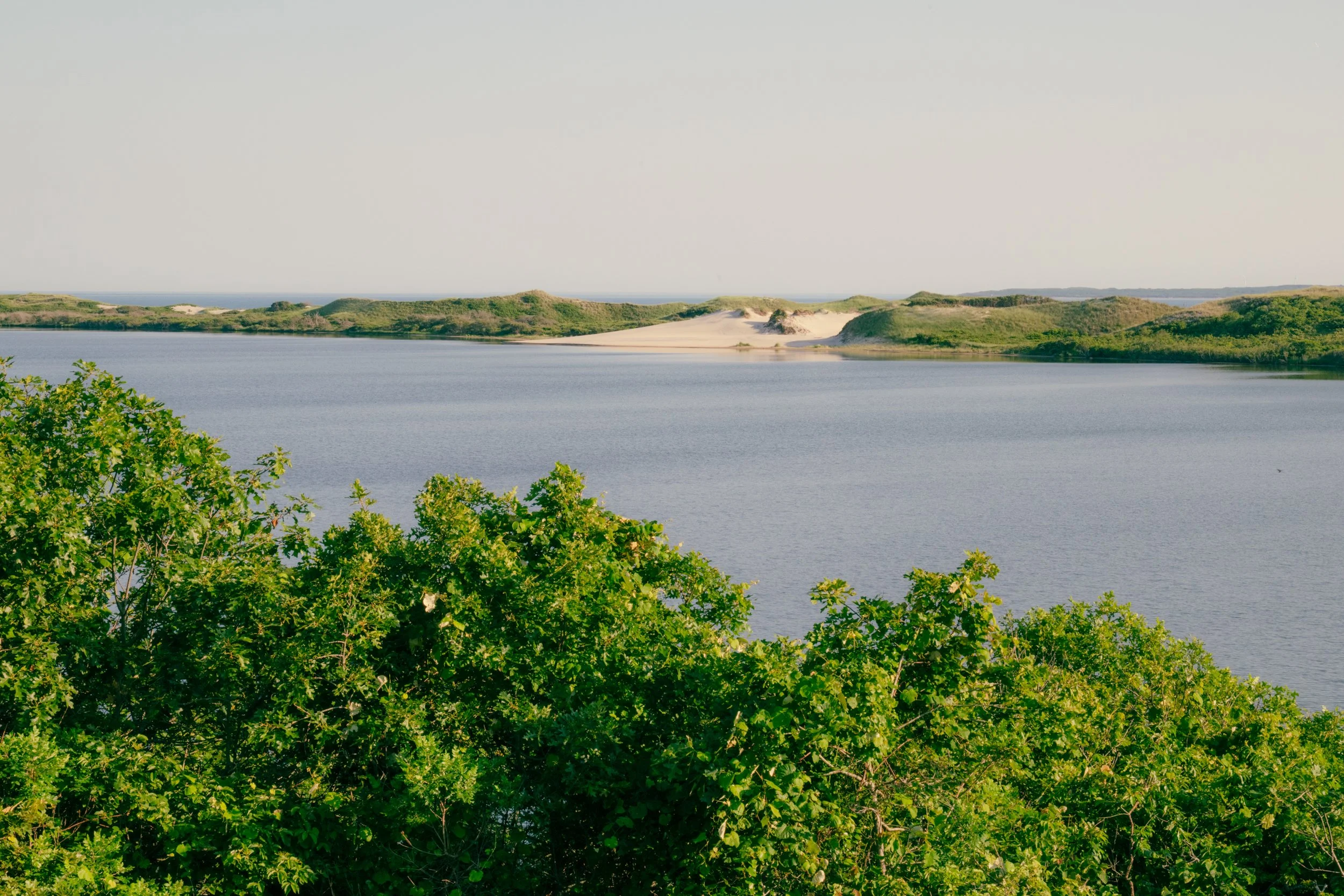 DSC_6622.jpg