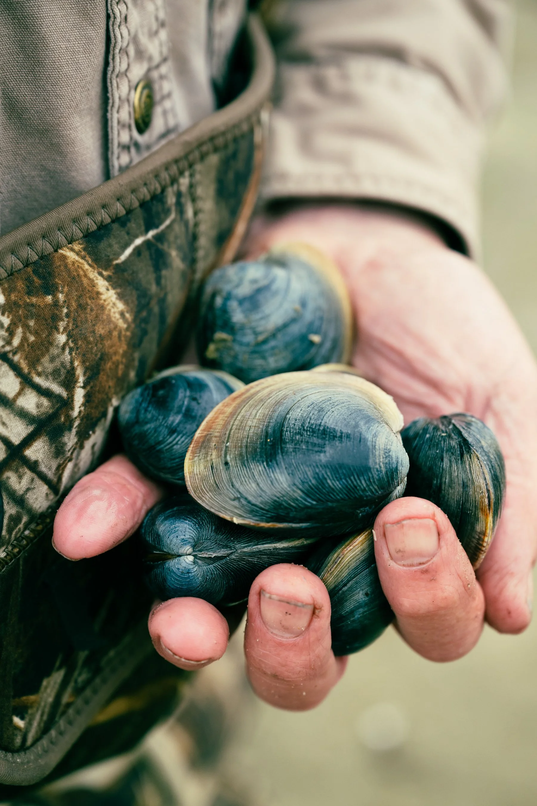 GH_Clams_MVMag-22.jpg