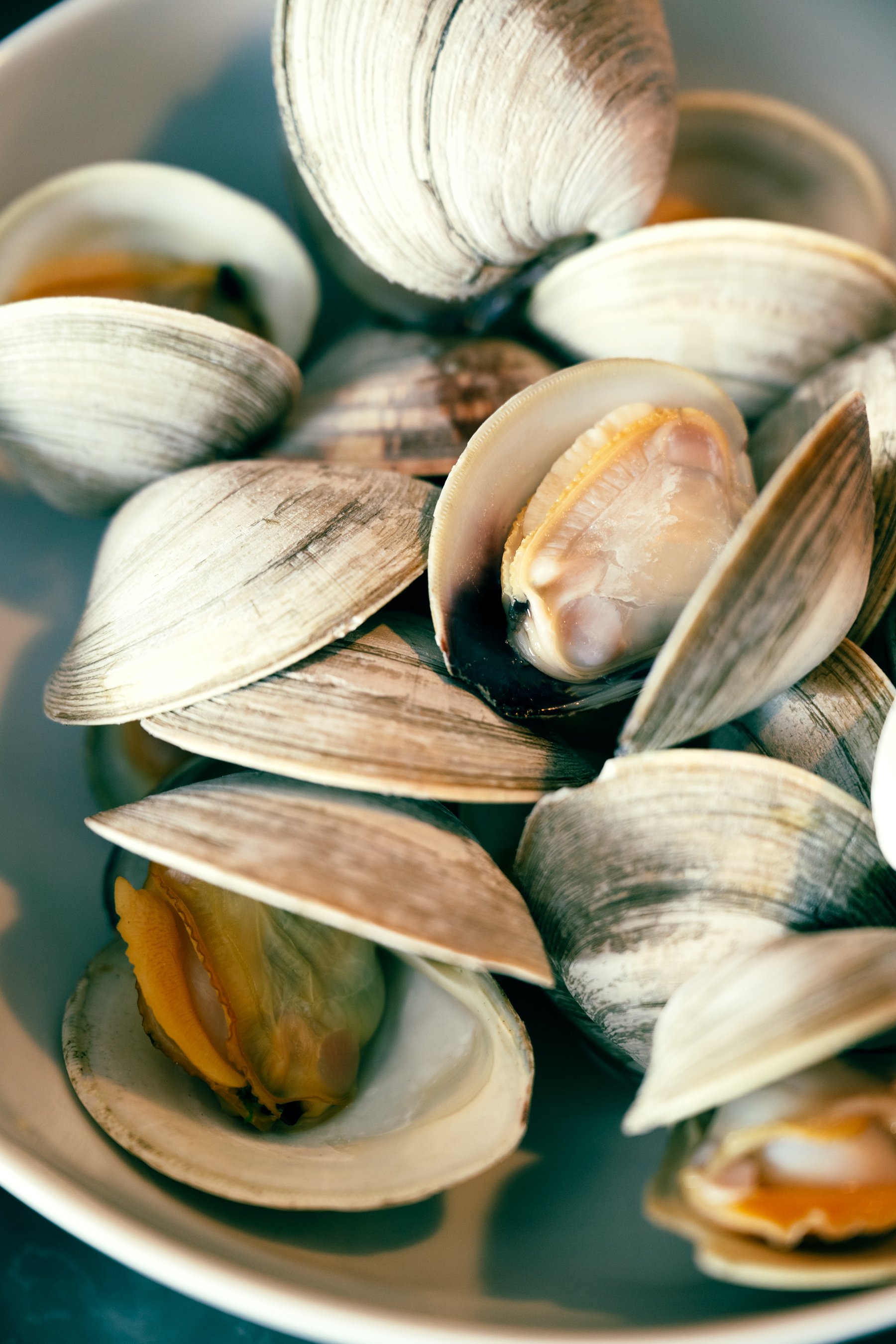 GH_Clams_MVMag-56-Edit.jpg