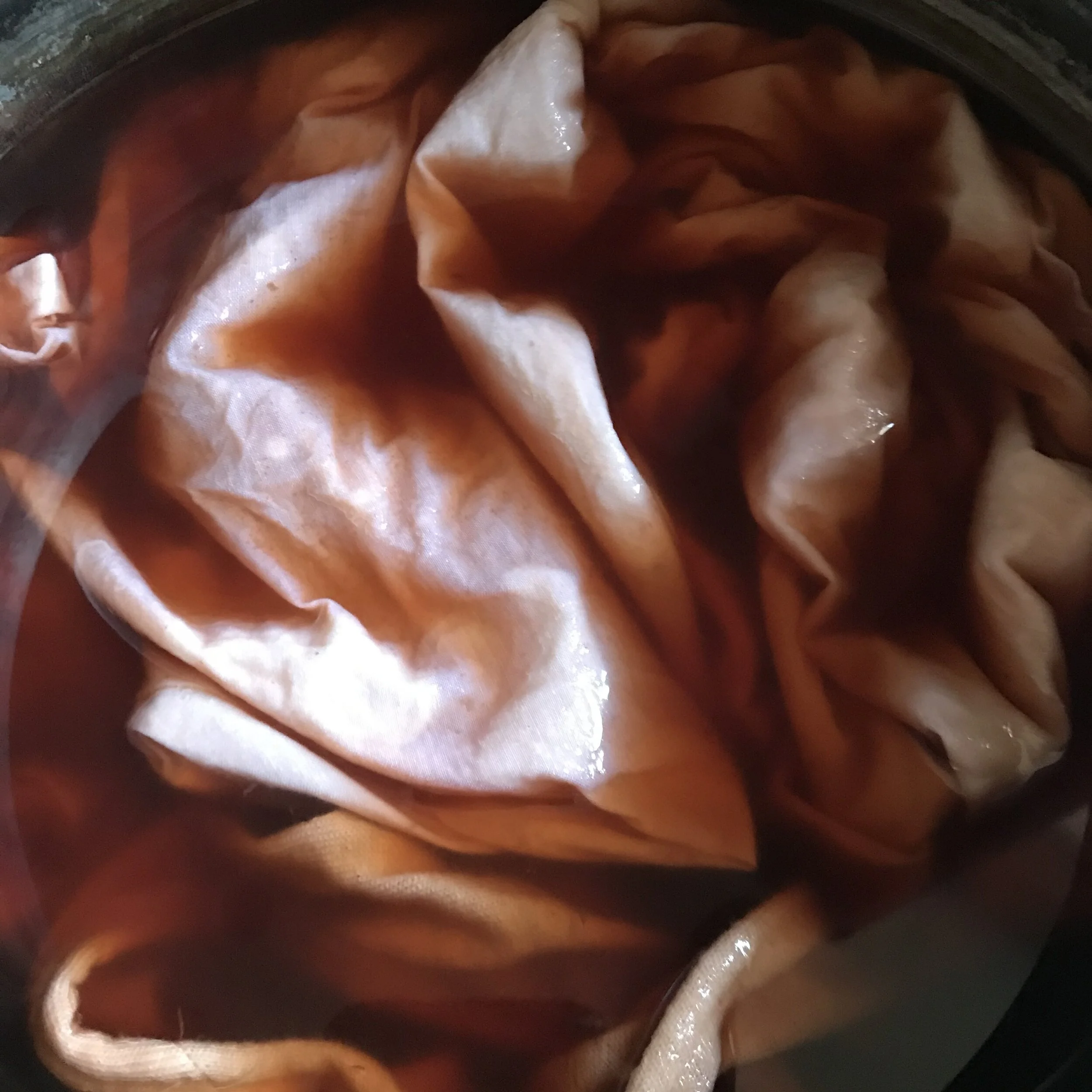 Why We Dye