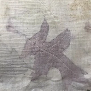 Eco Printing