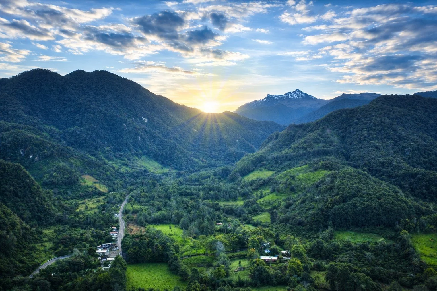 Birds and Bordado a Craft and Nature Retreat in Ecuador February 21-27, 2027