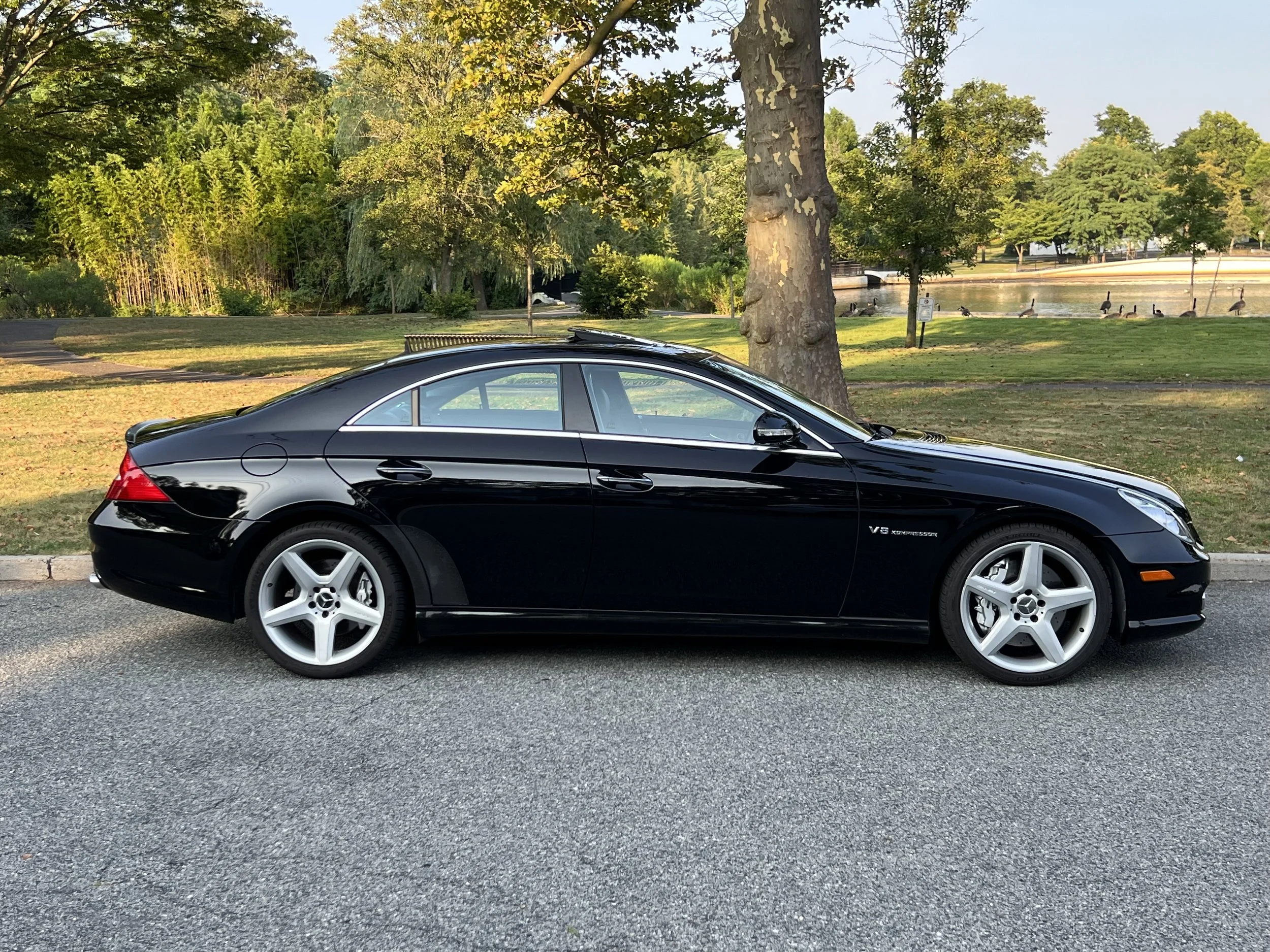 Black Mercedes-Benz CLS55 AMG parked on the side of a street near a park with green grass, trees, and a pond with ducks.