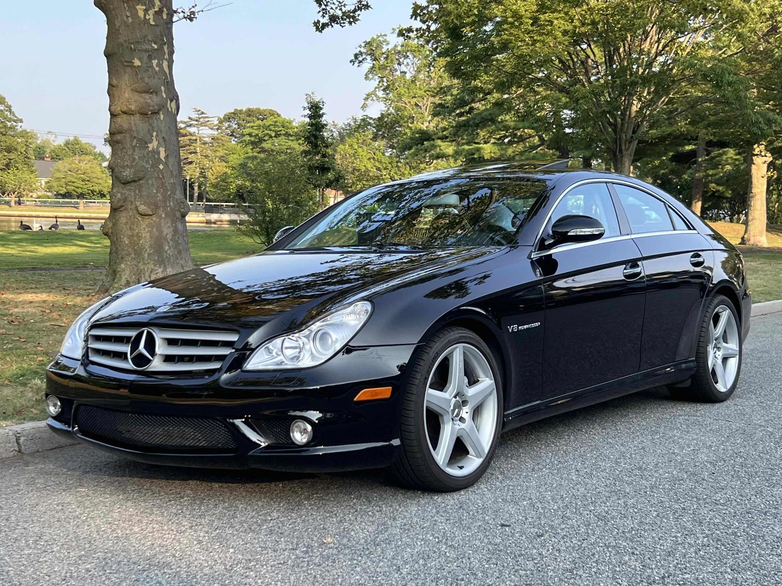 Black Mercedes-Benz sedan parked on a street with trees and a park in the background.