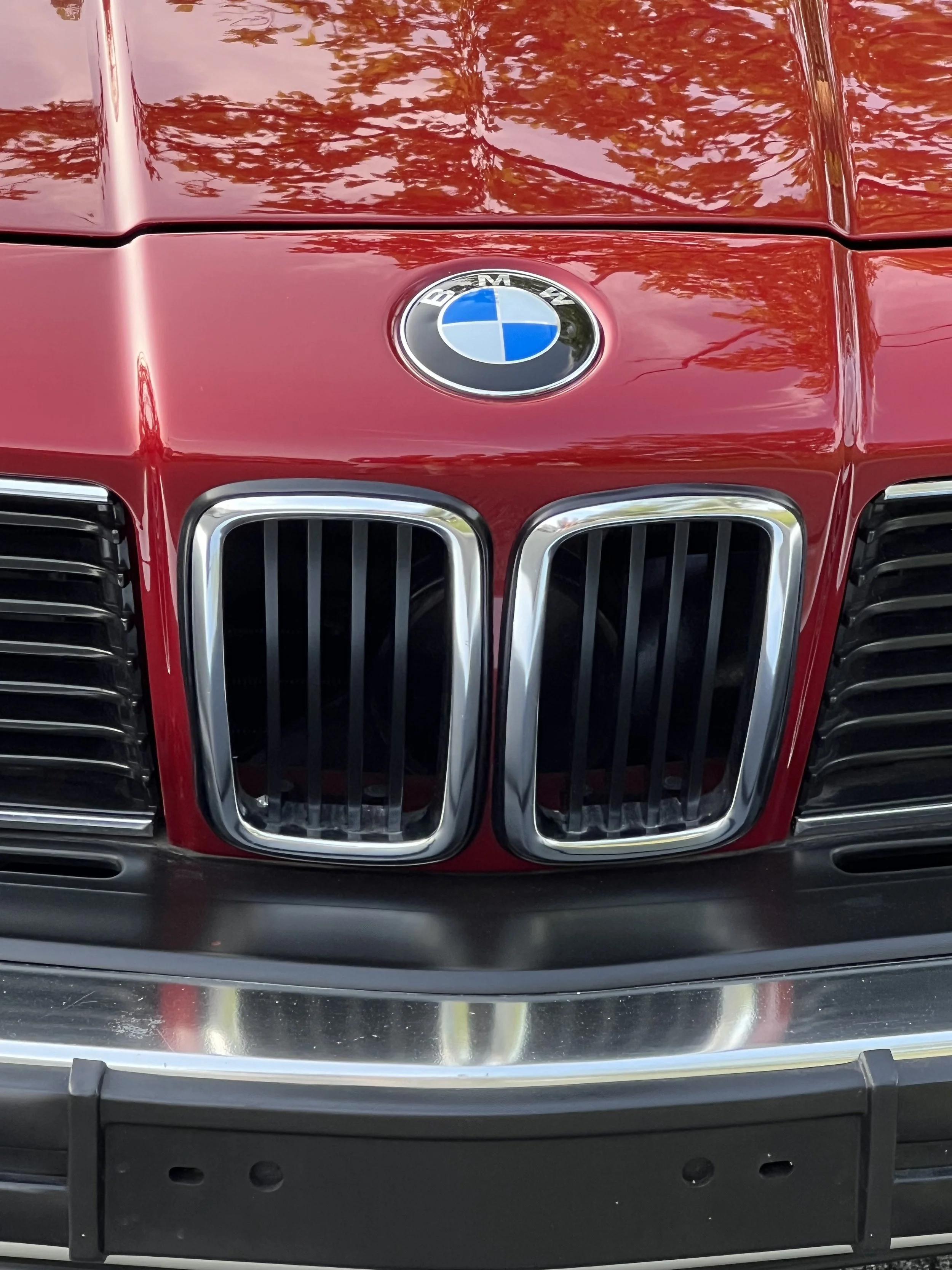 Front of Ruby Red 1977 BMW 630 csi on display in park with trees and grass in background for sale at FlowHaus