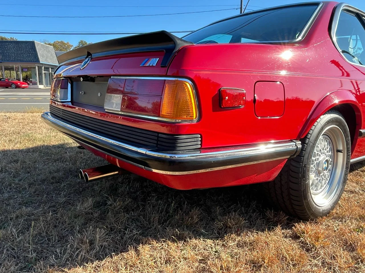 Rear view of a classic red BMW E24 6 Series with an M badge, black spoiler, chrome bumper, and alloy wheels, parked on grass, during daytime.
