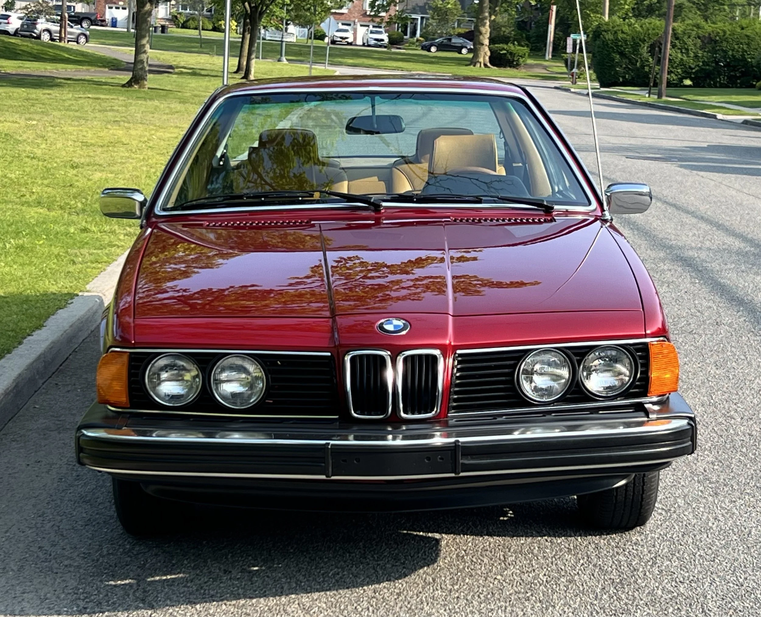 Front of Ruby Red 1977 BMW 630 csi on display in park with trees and grass in background for sale at FlowHaus