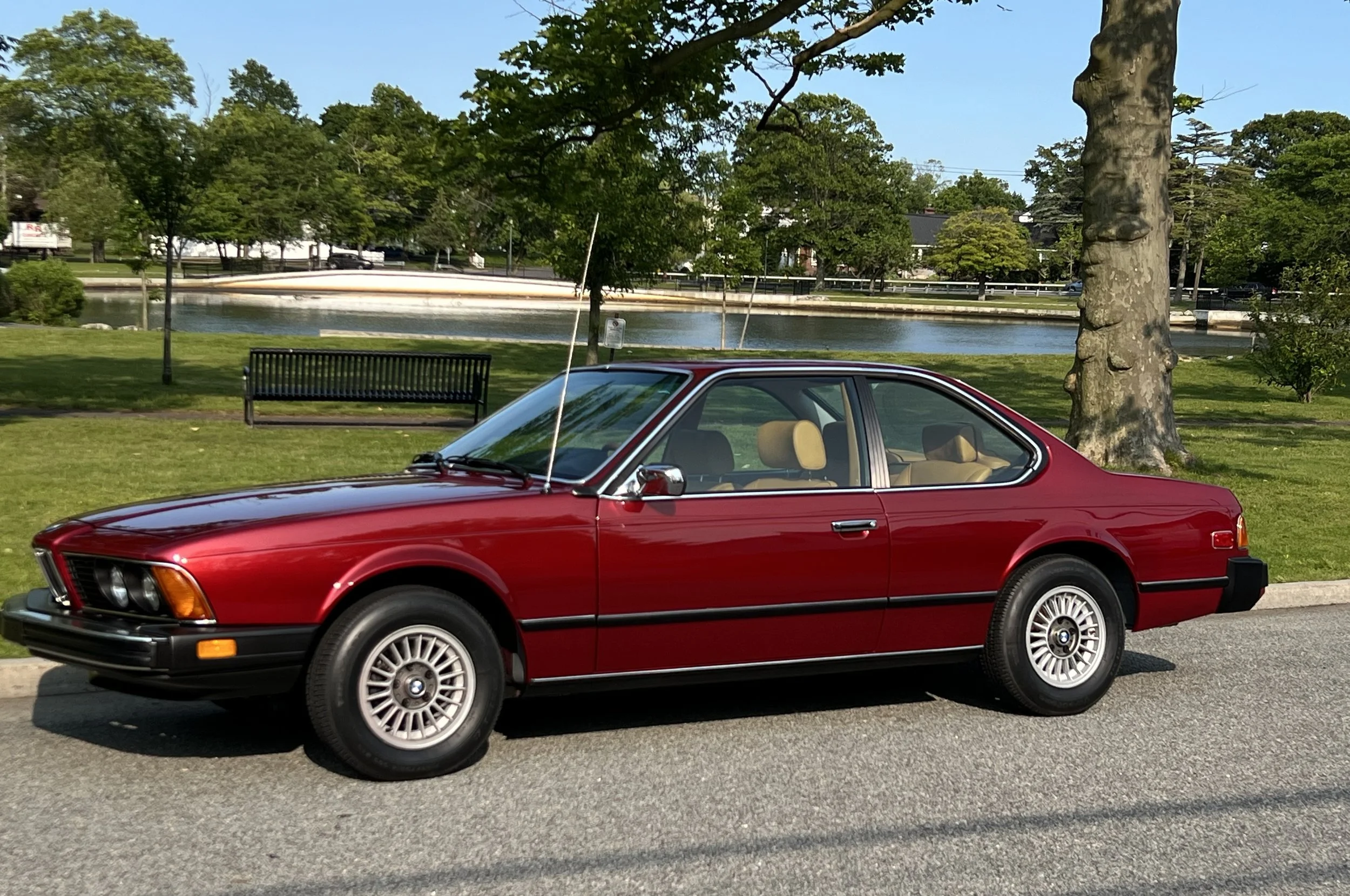 Ruby Red 1977 BMW 630 csi on display in park with trees, grass, and lake in background for sale at FlowHaus