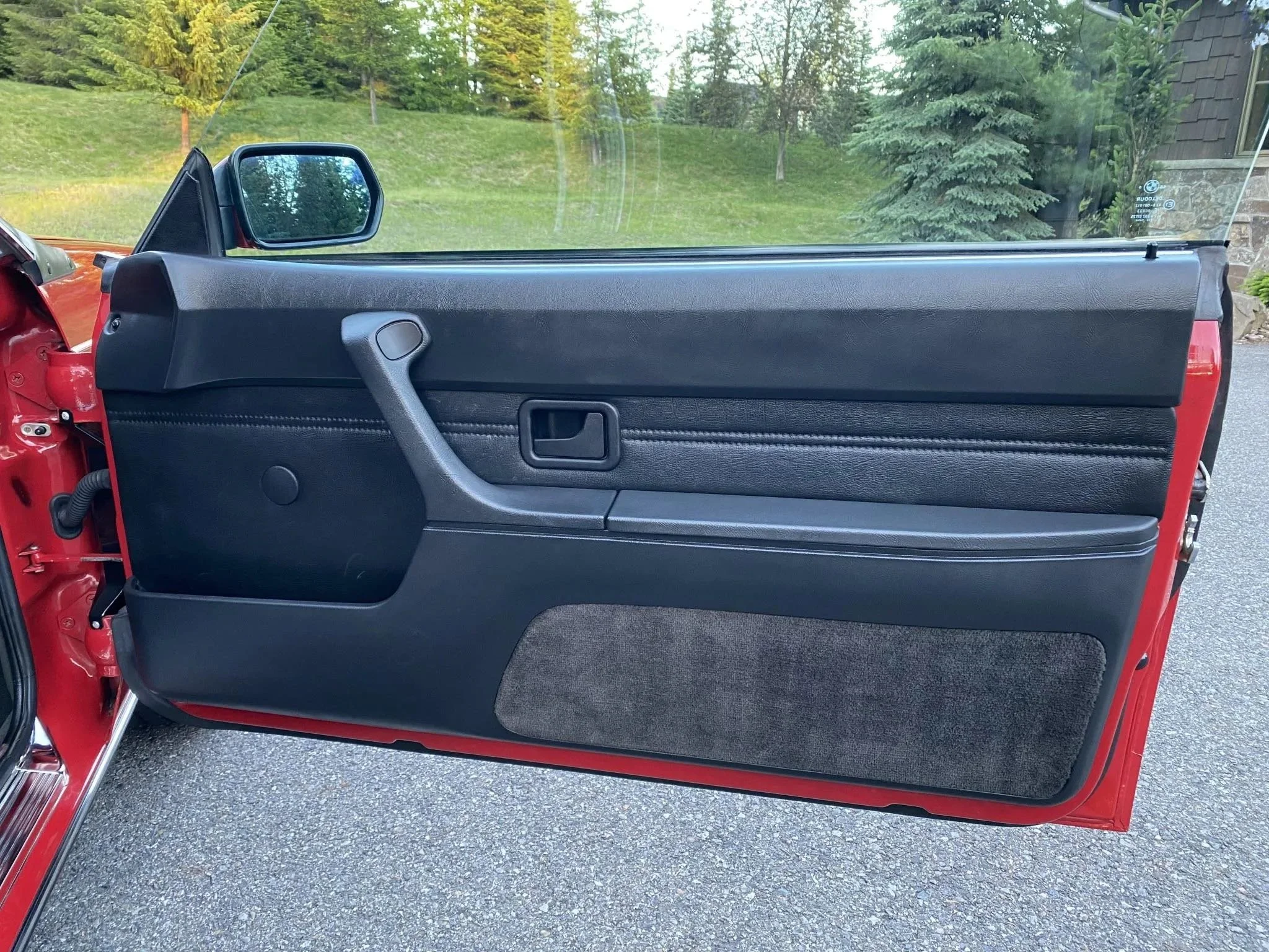 Close-up of the interior side of a car door with a black panel, window, and handle, and a grassy landscape visible outside.
