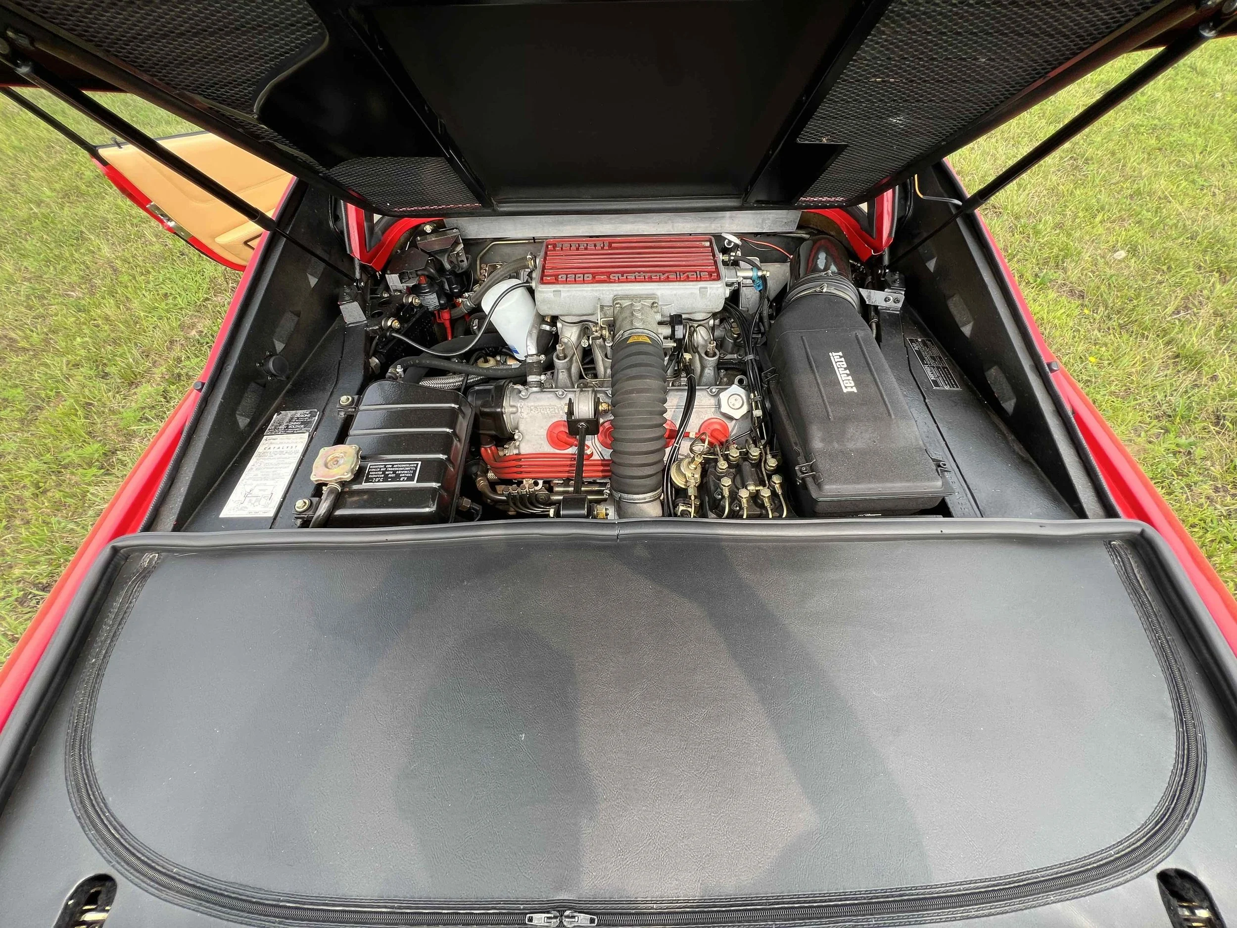 View of a car engine inside the open hood, with various engine components visible, including a red valve cover, black intake manifold, and black air filter box, set against a grassy background.