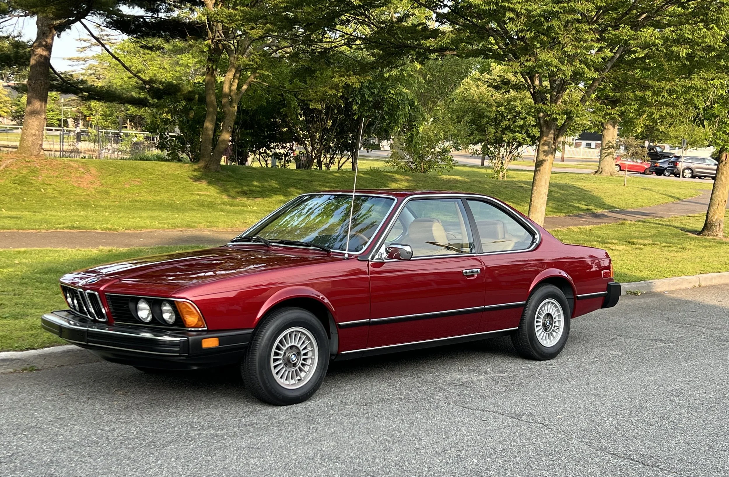 Ruby Red 1977 BMW 630 csi on display in park with trees, grass, and lake in background for sale at FlowHaus