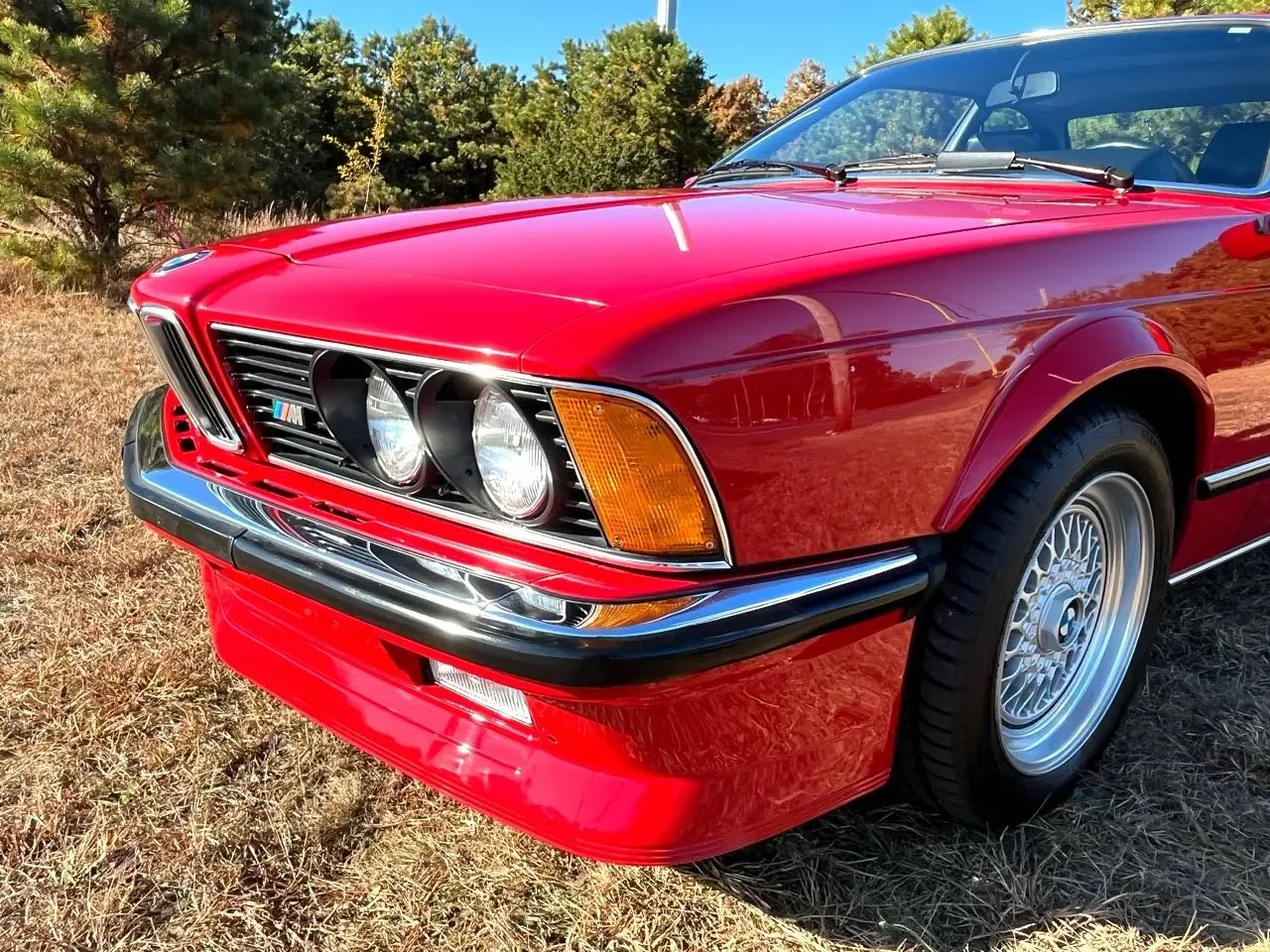 Close-up of a classic red BMW 6 Series car parked on grass, showing front grille, headlights, and right front wheel with chrome hubcaps, against a background of trees and clear blue sky.